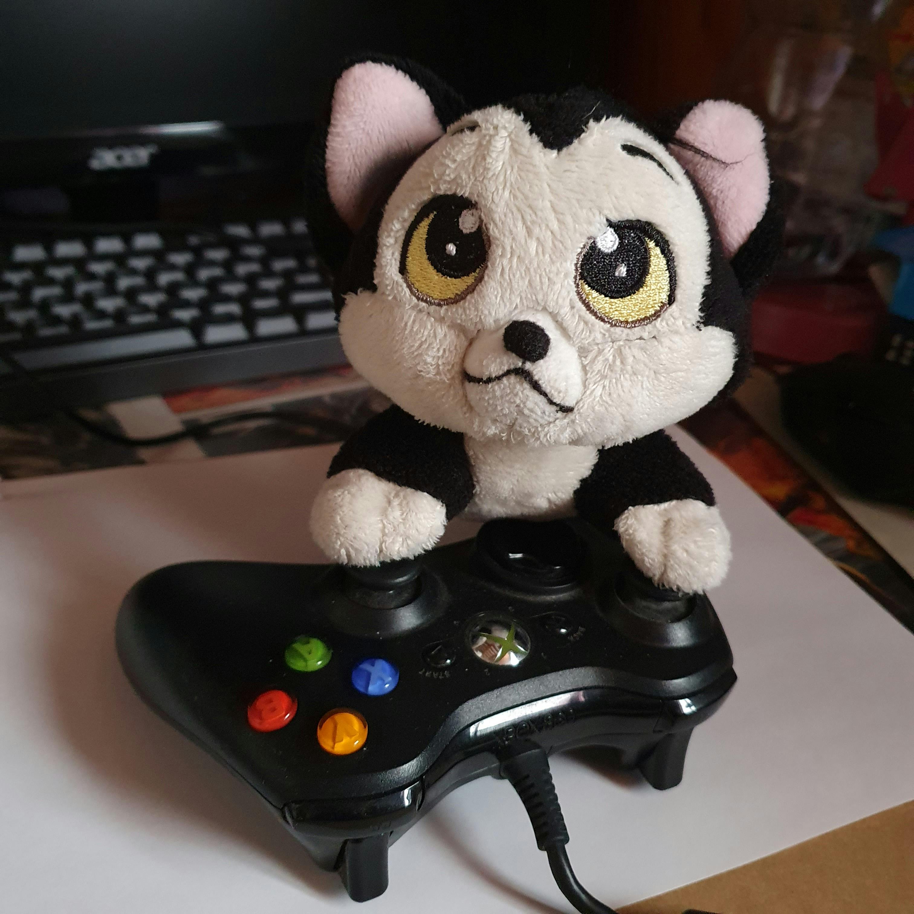 user avatar image for MadNox