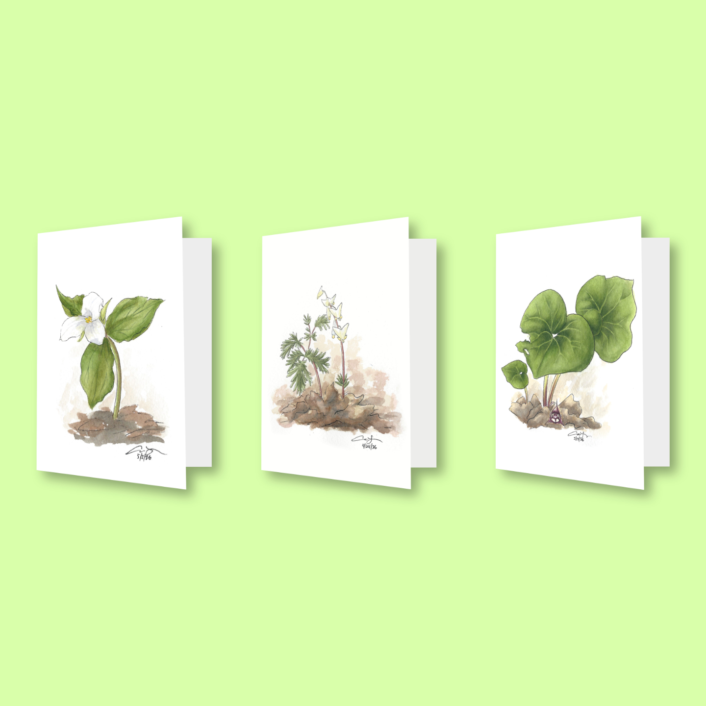 Ground Cover Greeting Cards Set (3 Cards)