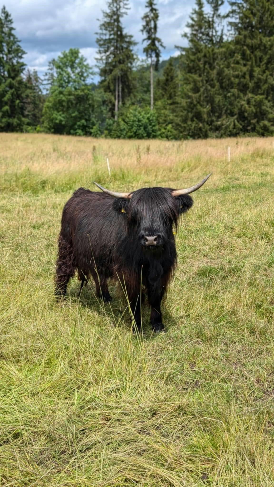 user avatar image for Melanie C