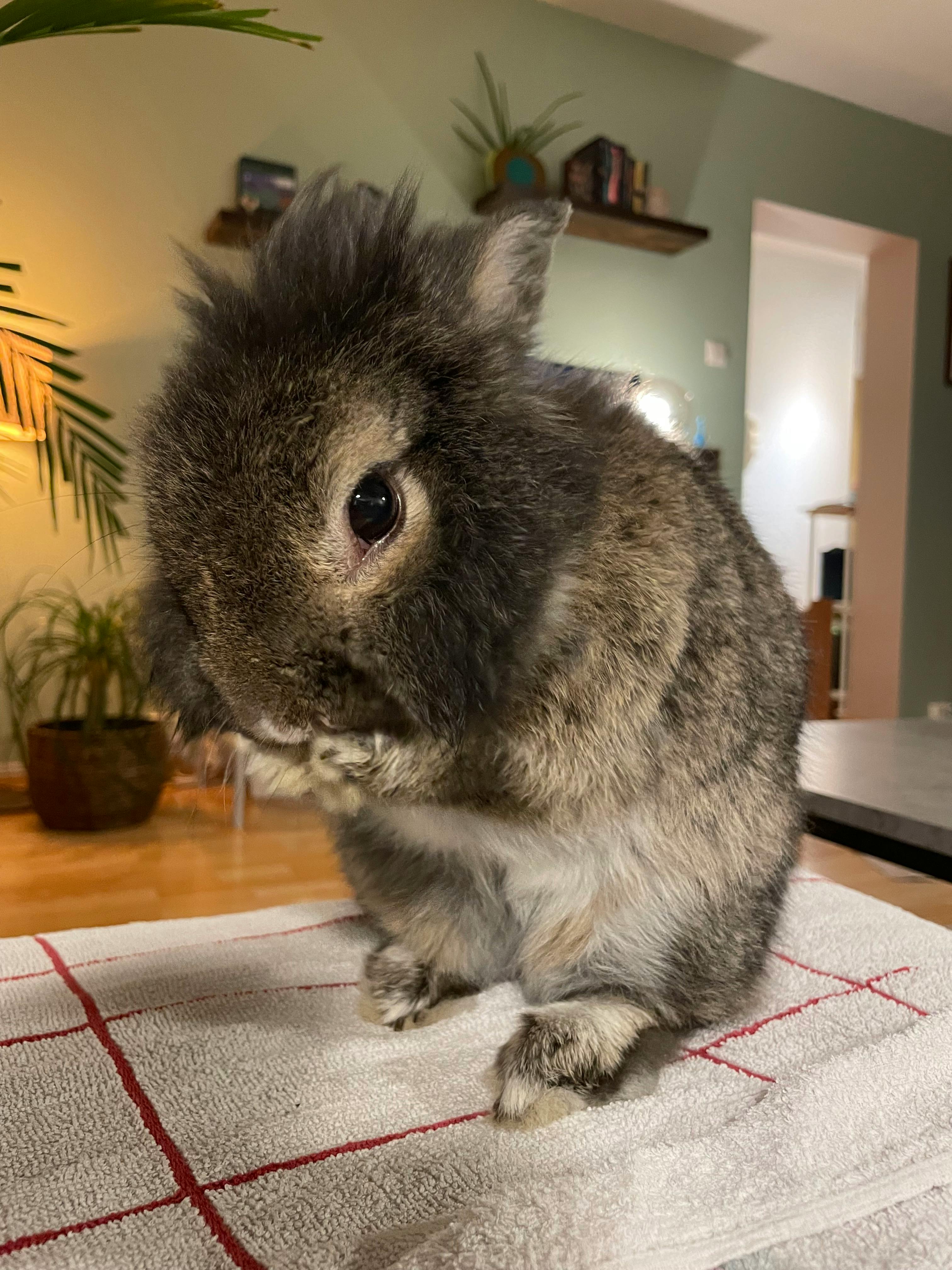 user avatar image for Karoline