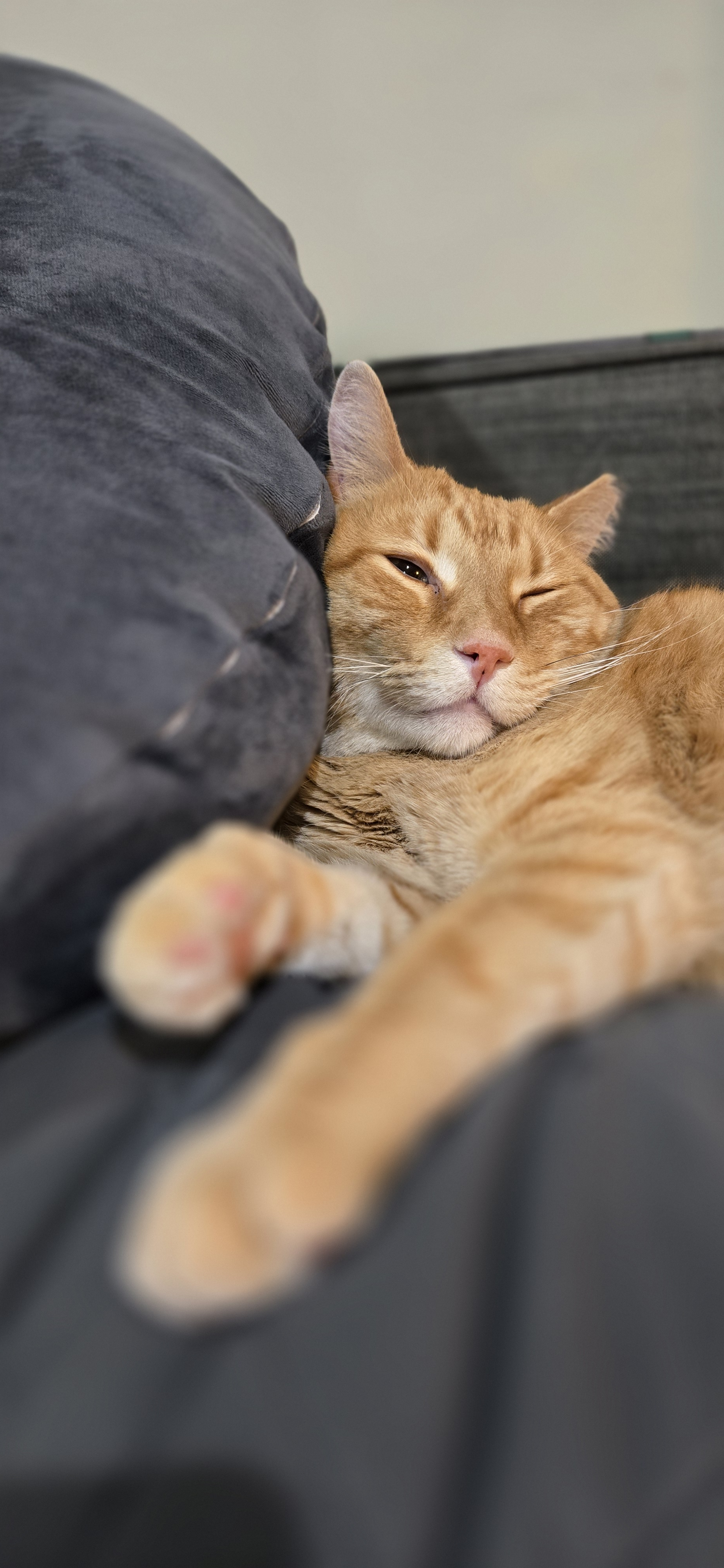 user avatar image for Laura Kim