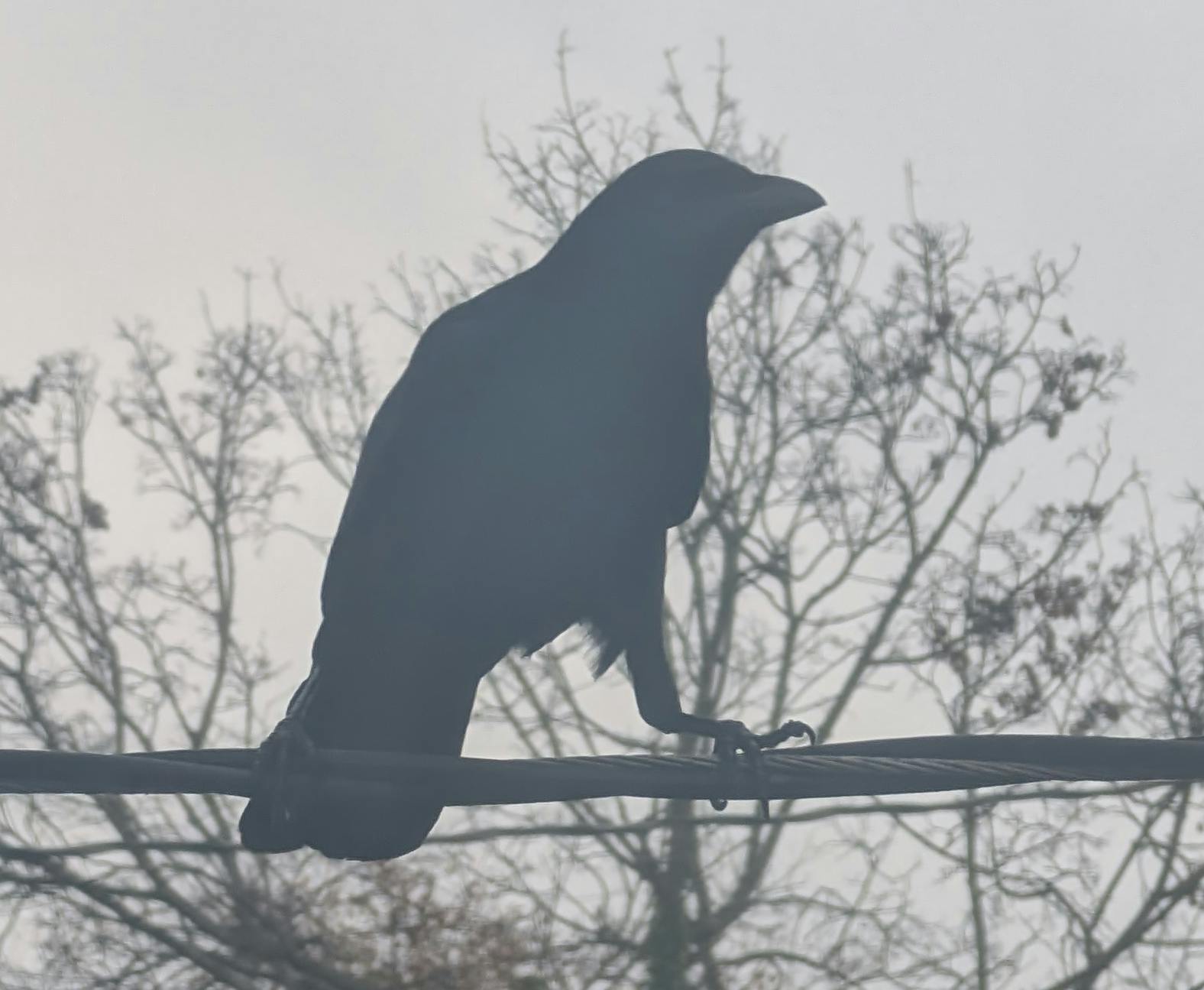 user avatar image for Joe