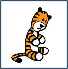 user avatar image for amphi