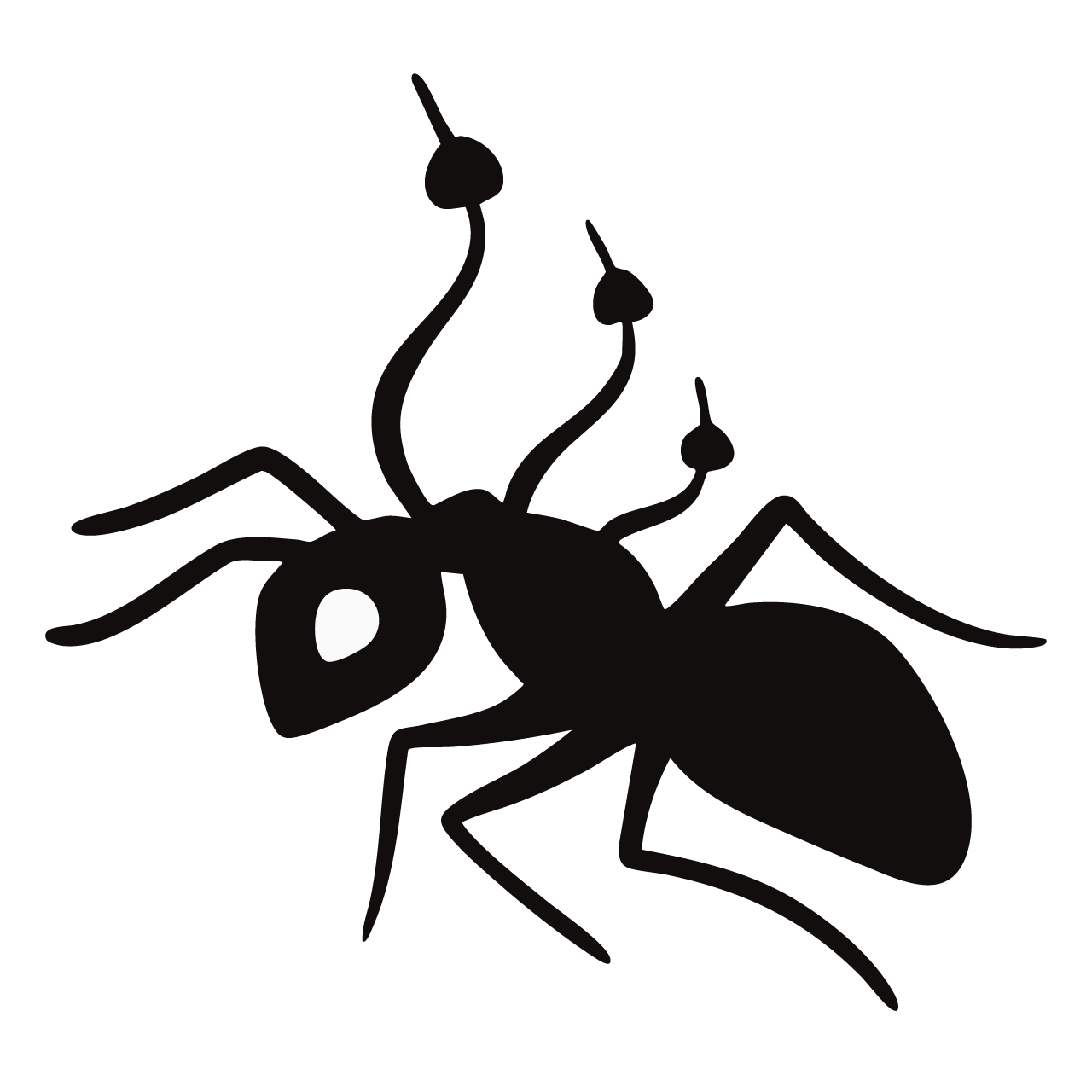 Zombie Ant 2" pin- black