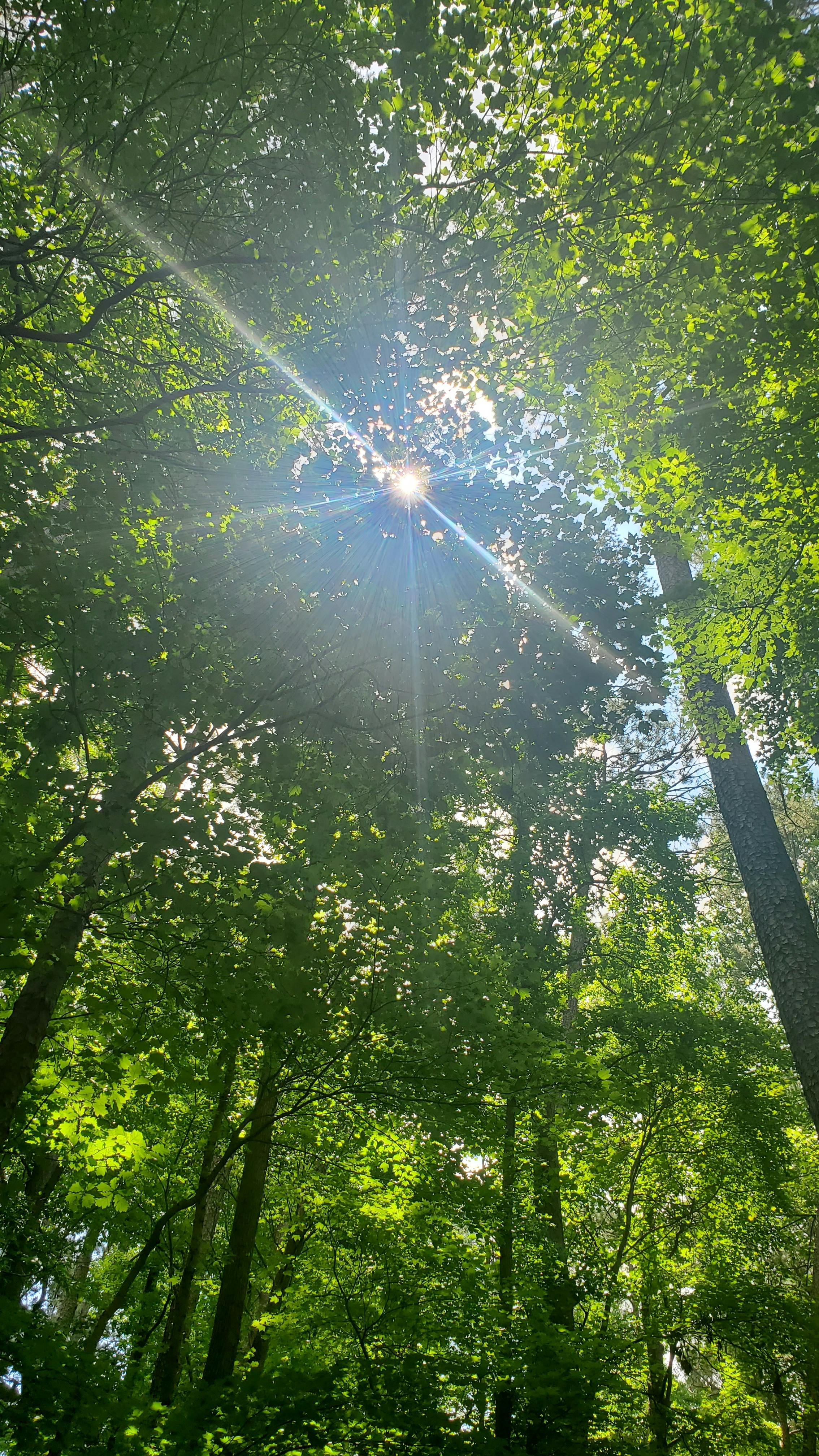 user avatar image for eugene