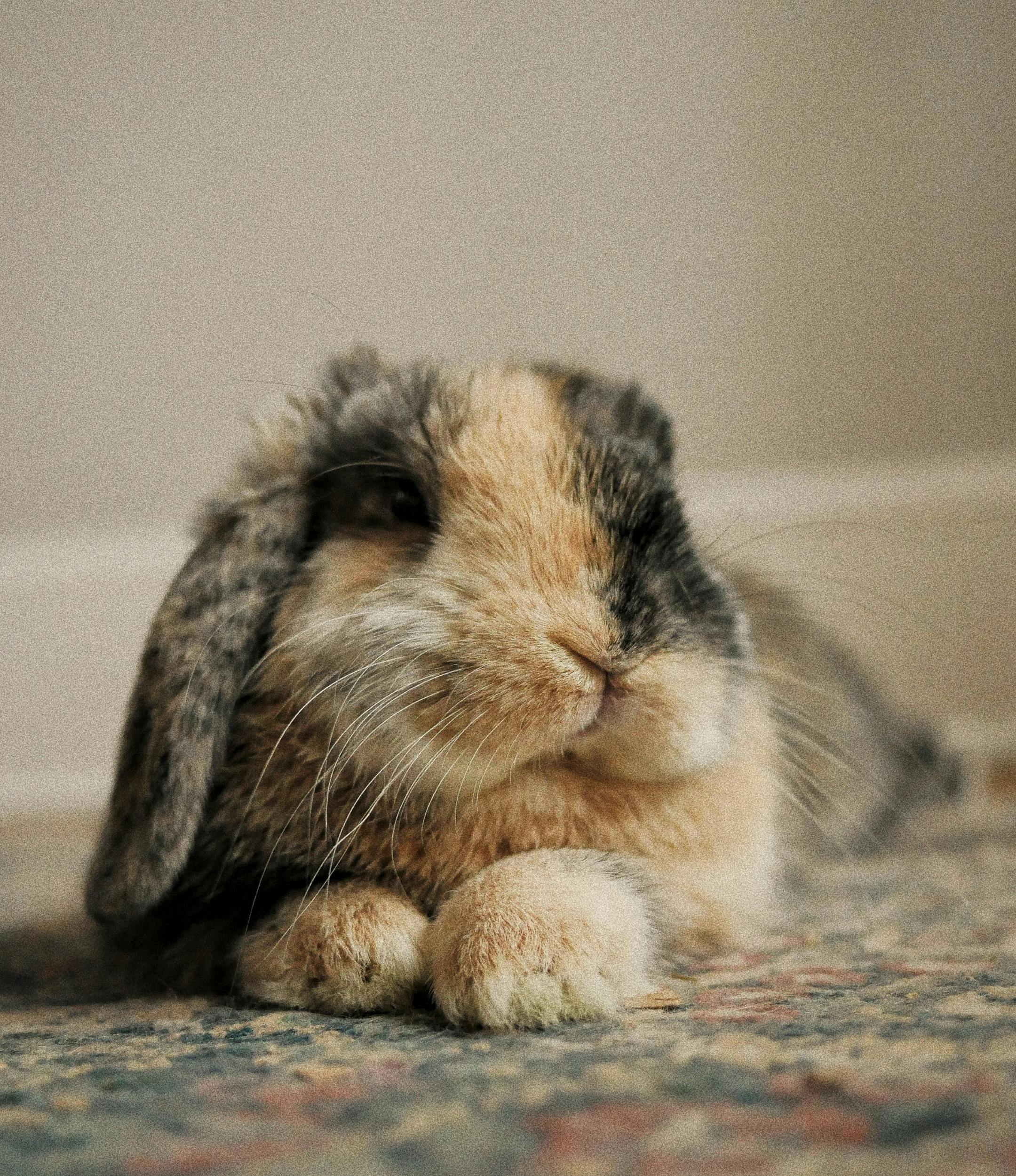 user avatar image for Jake