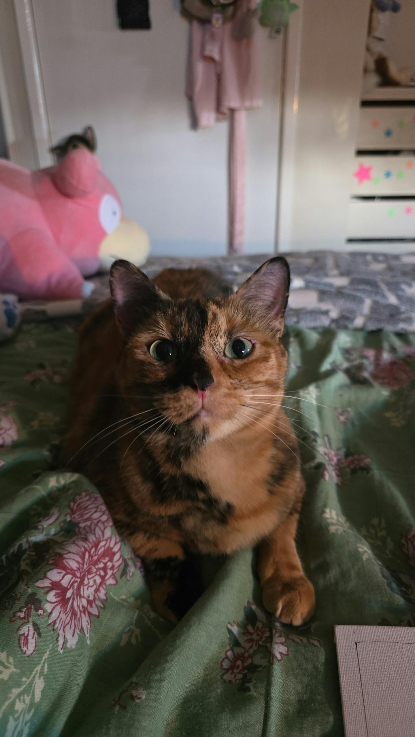 user avatar image for Lily Turner