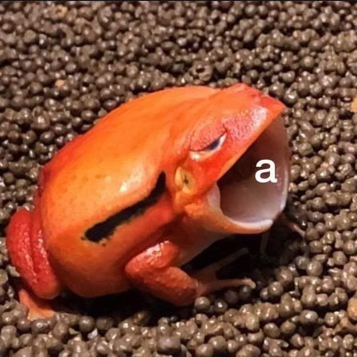 user avatar image for Tori Terror