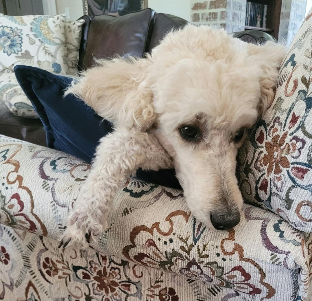 user avatar image for Mary DuBoulay