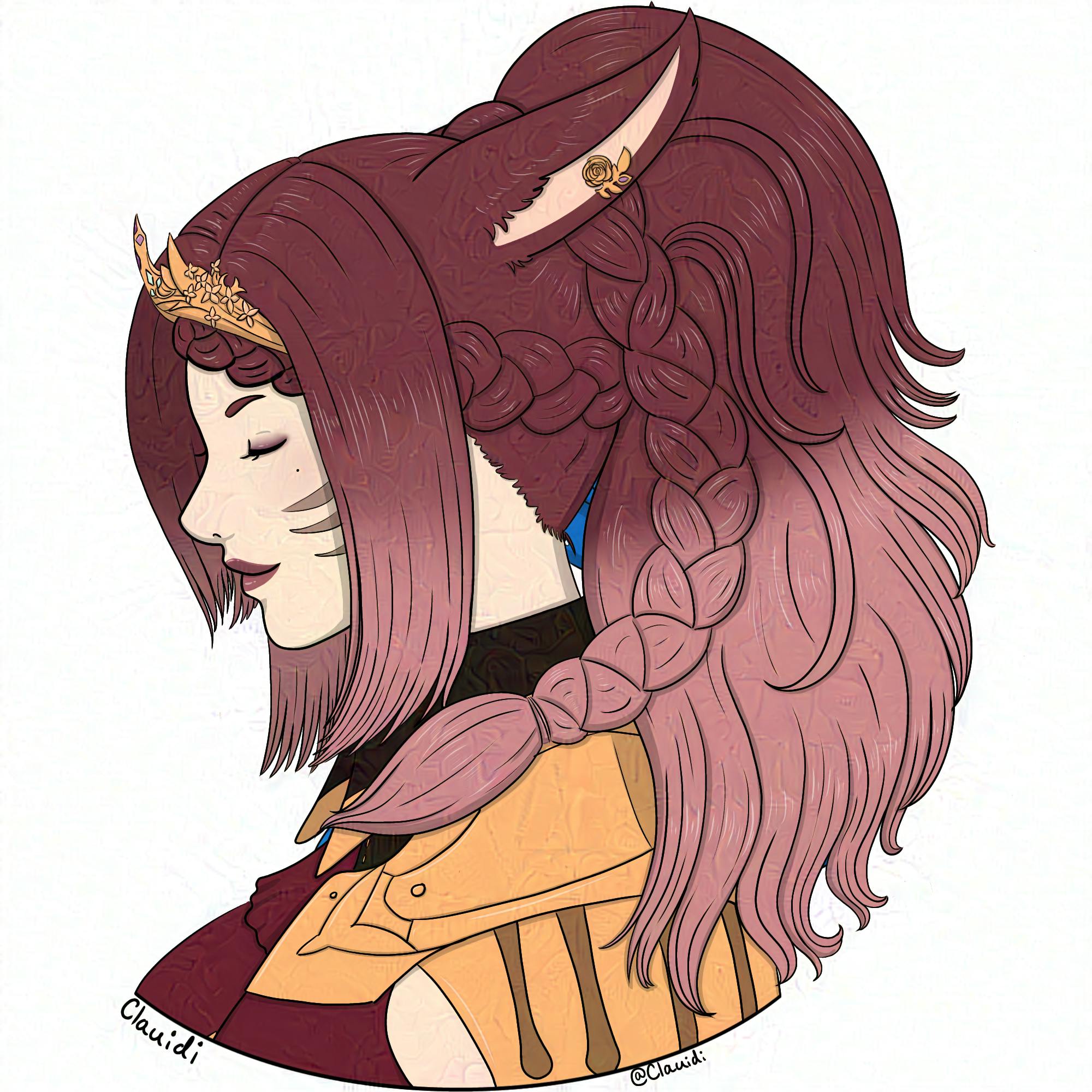 user avatar image for Clauidi