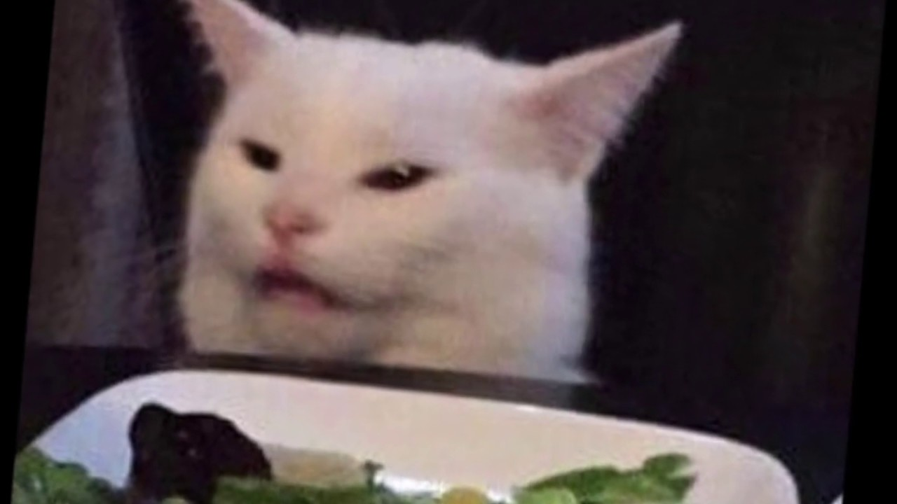 user avatar image for Ryan Wenzel