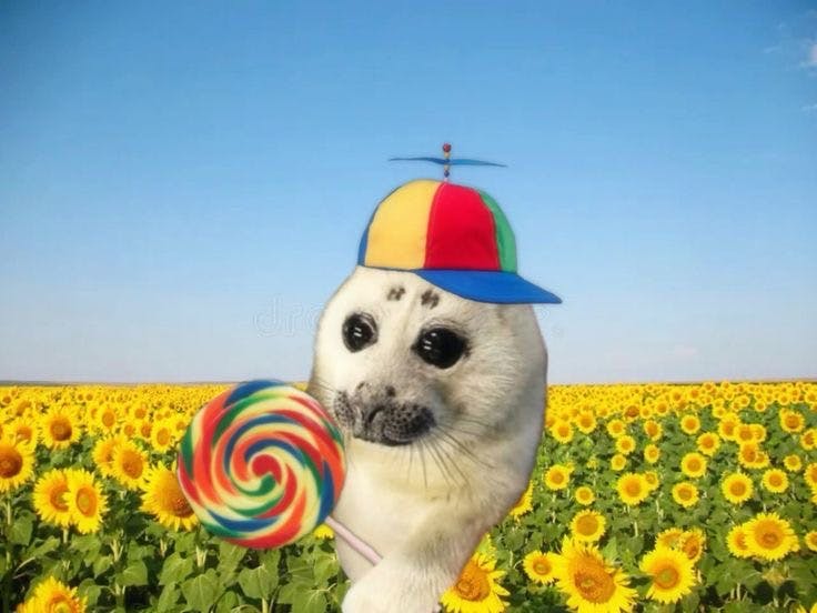 user avatar image for Aria Carpenter