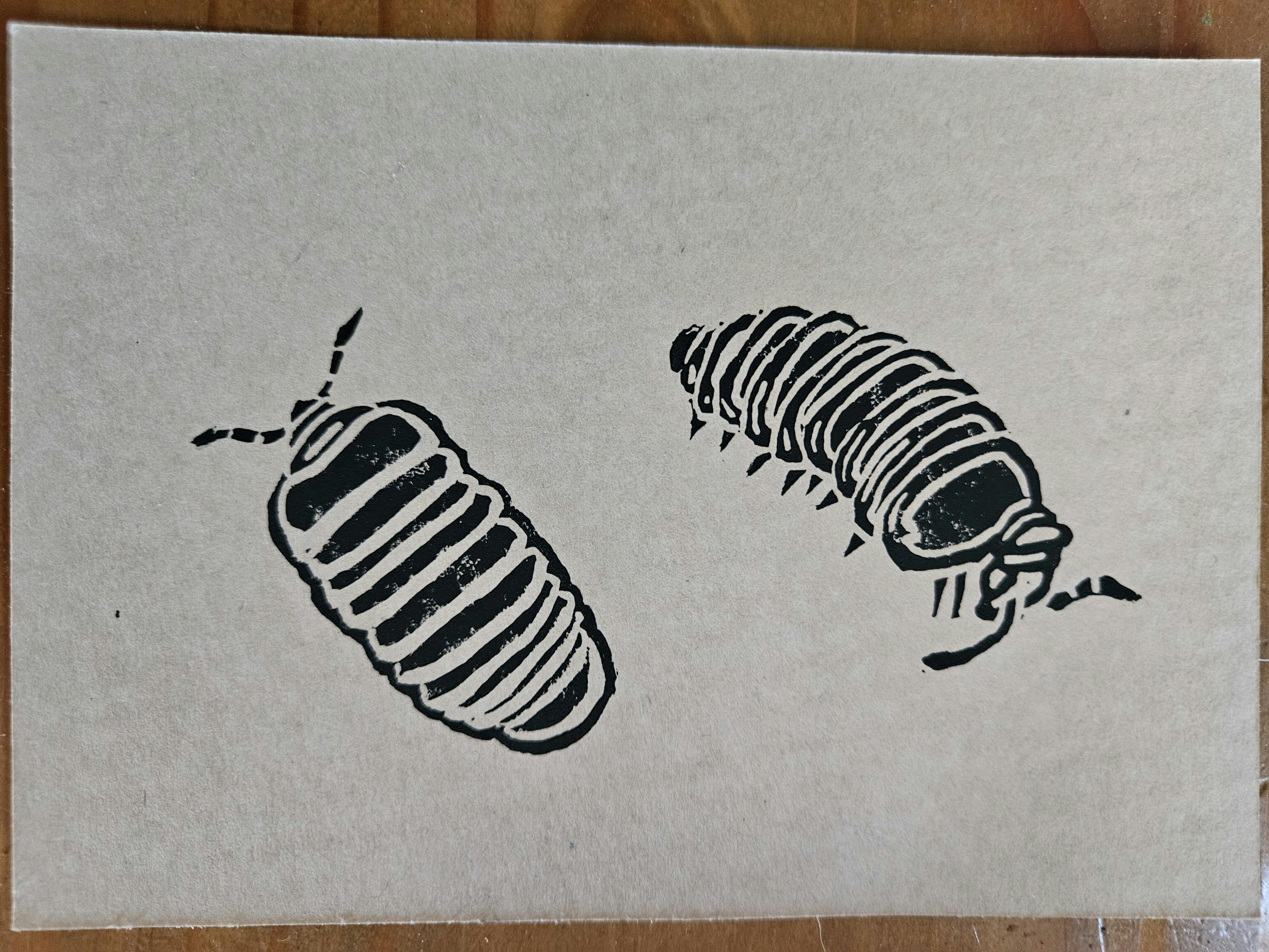 user avatar image for Sage deGaia