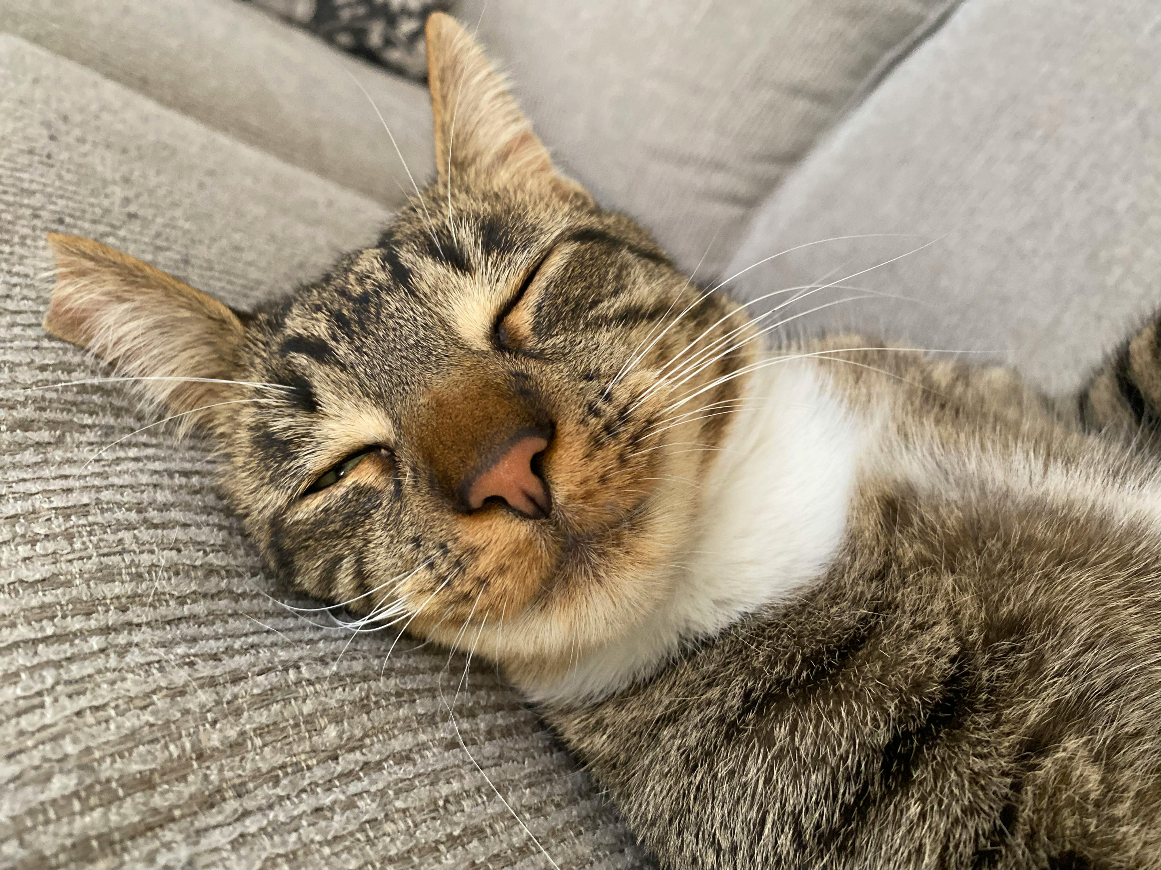 user avatar image for Deli