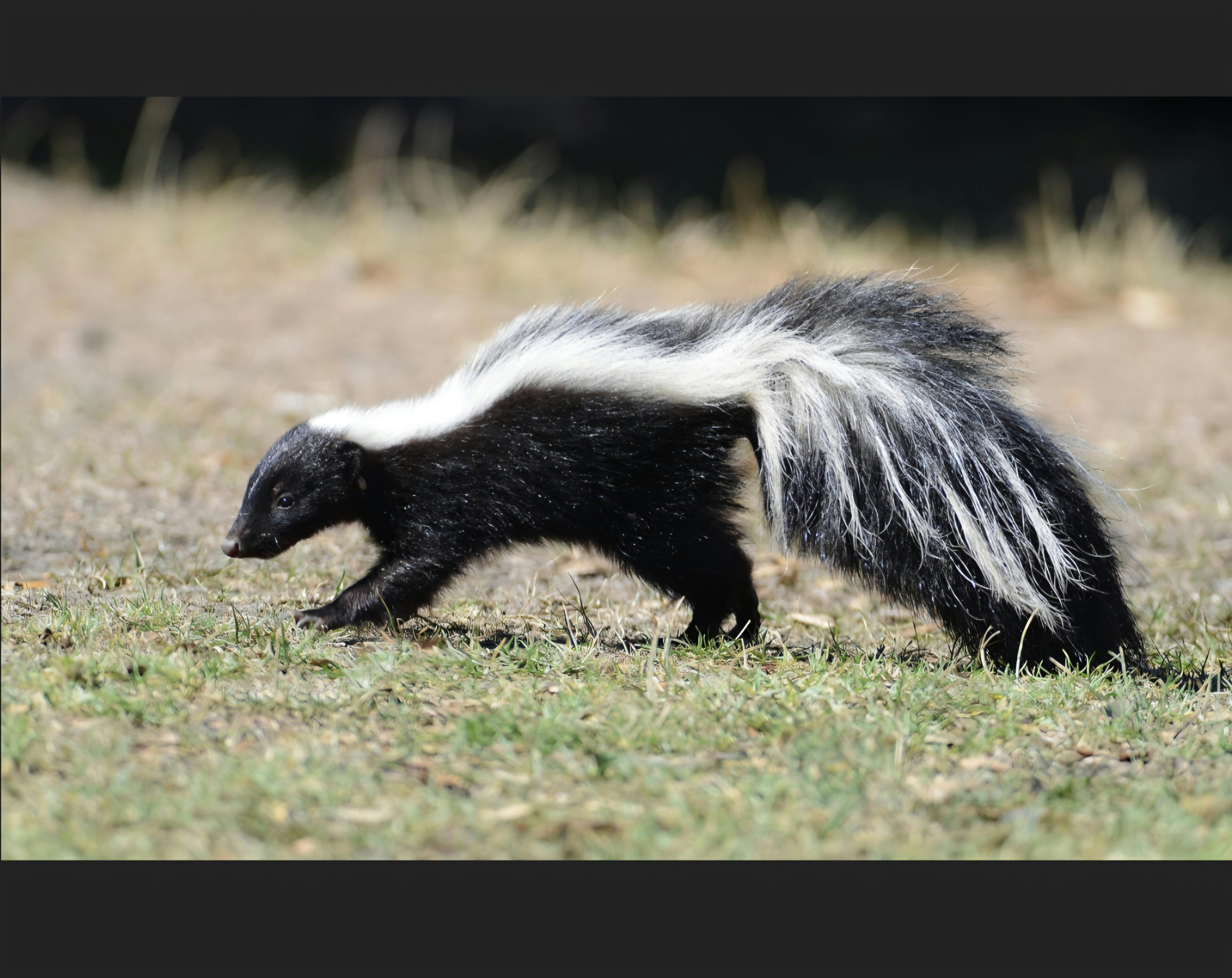 user avatar image for AaronT