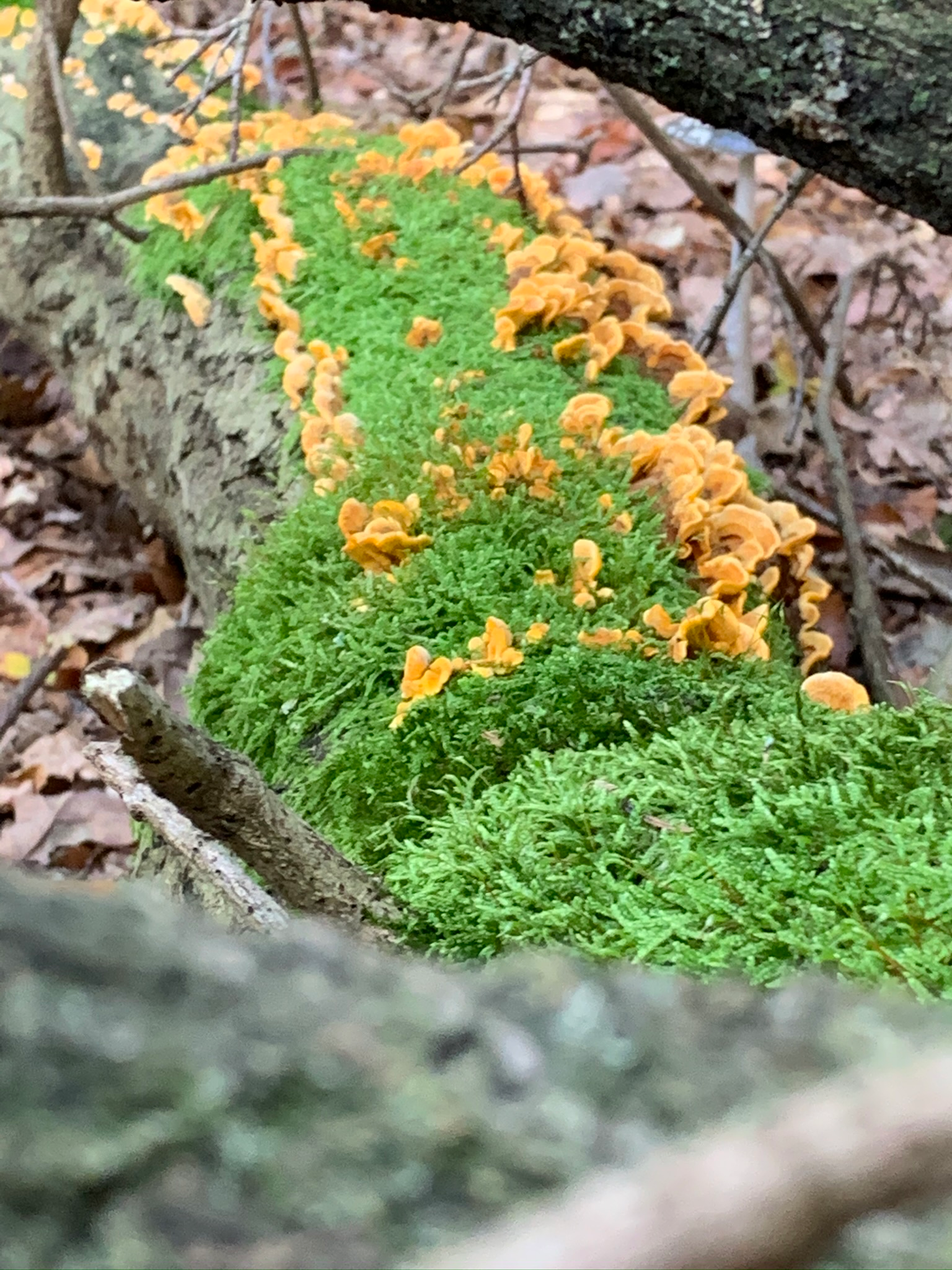 user avatar image for Bernardo Moreira