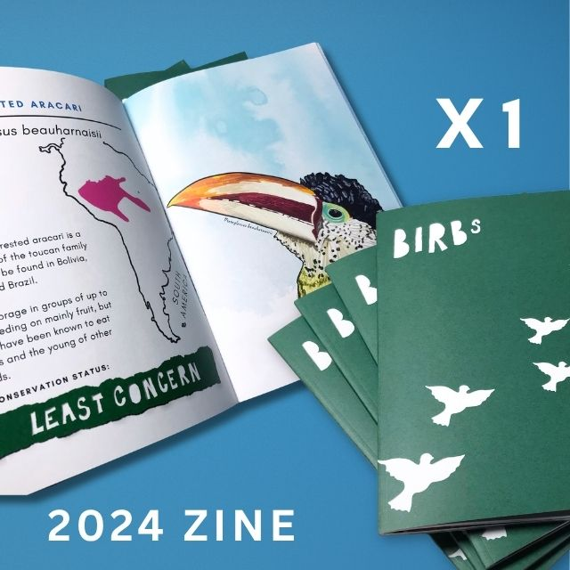 2024 Birbs Zine