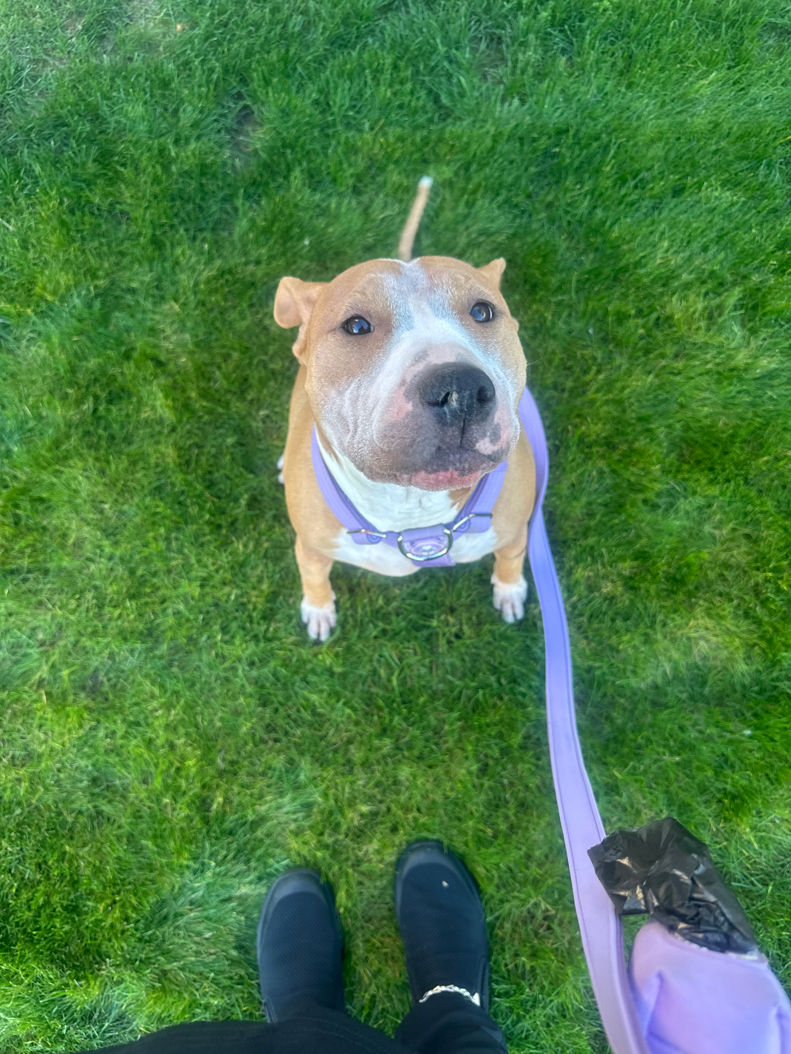 user avatar image for Shinaya