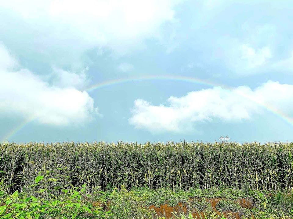 user avatar image for Chris Hart