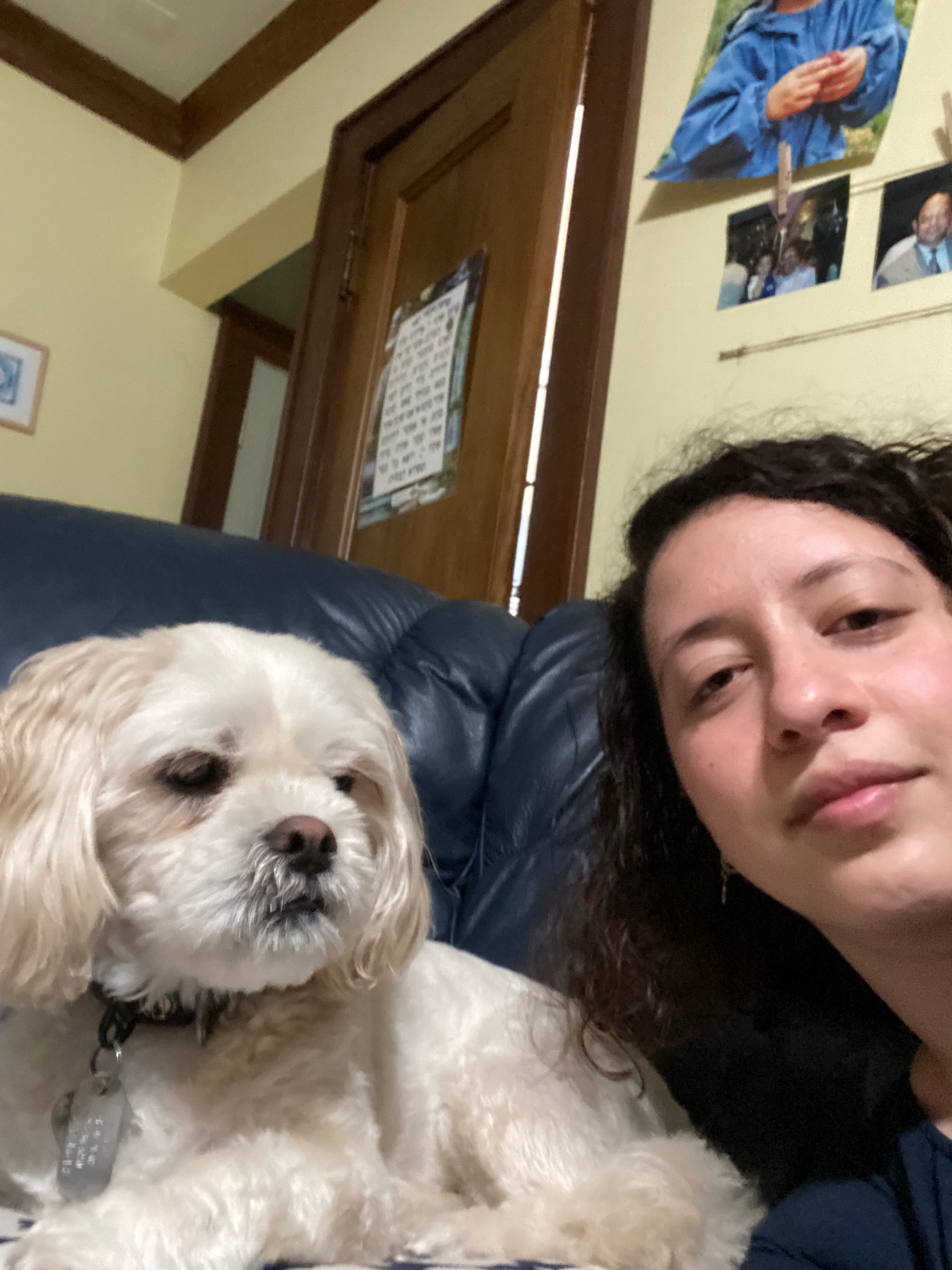 user avatar image for Z Spanjer