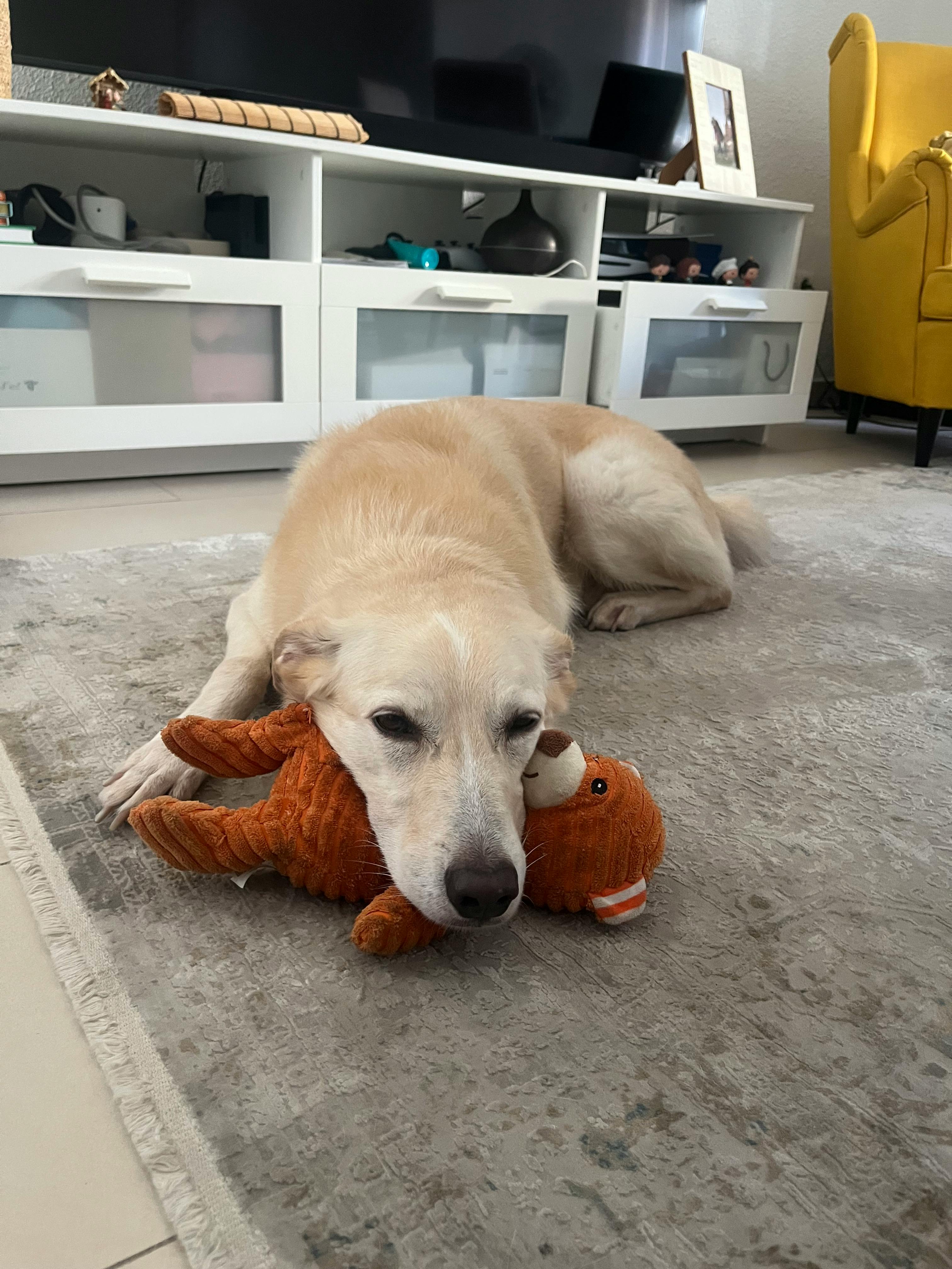 user avatar image for Obaren_bk