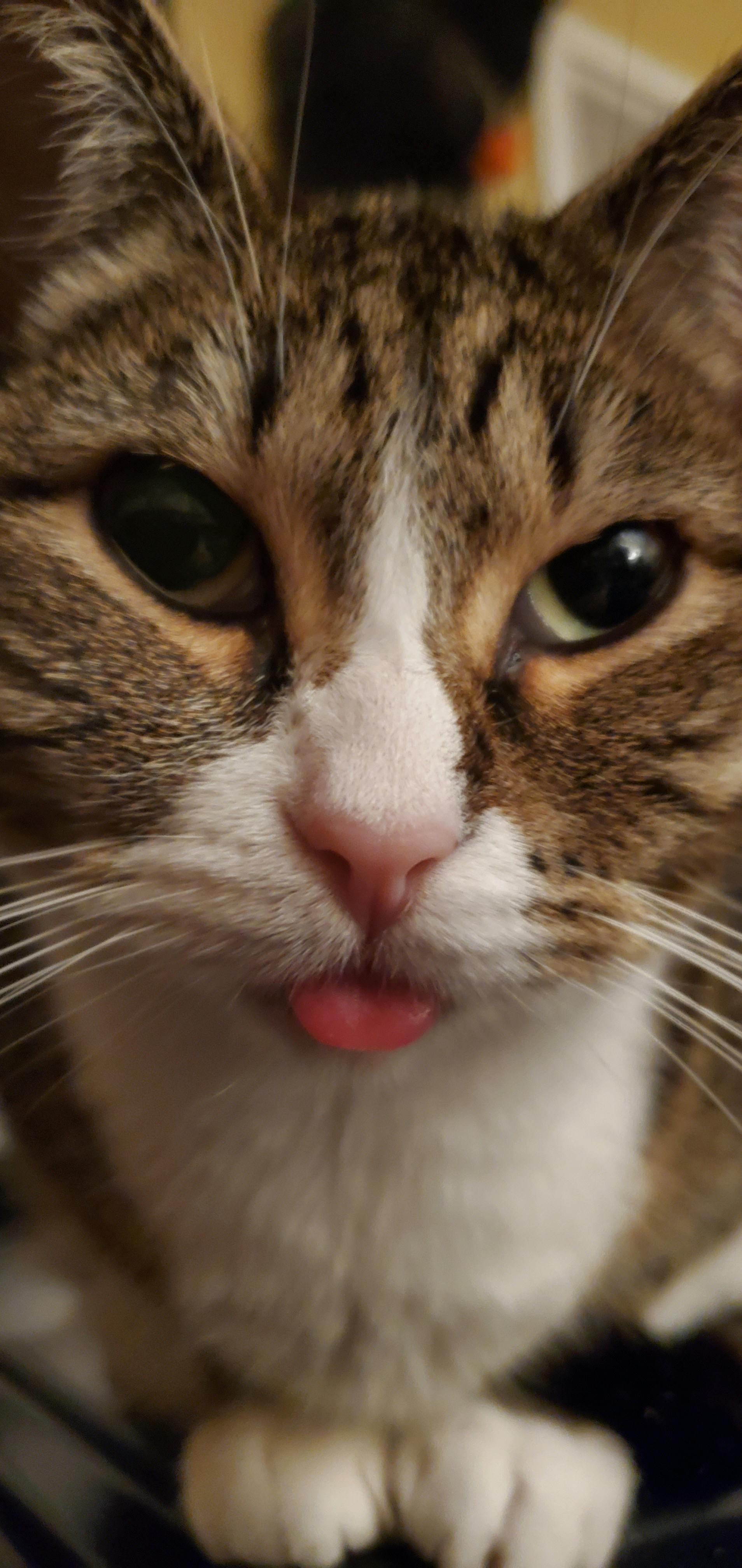 user avatar image for Aratani 