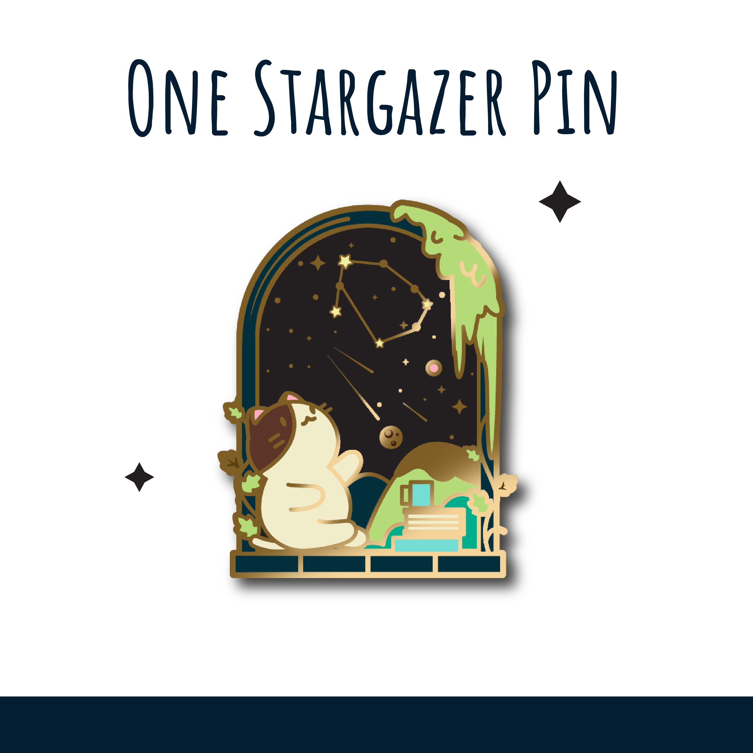 Stargazer Pin