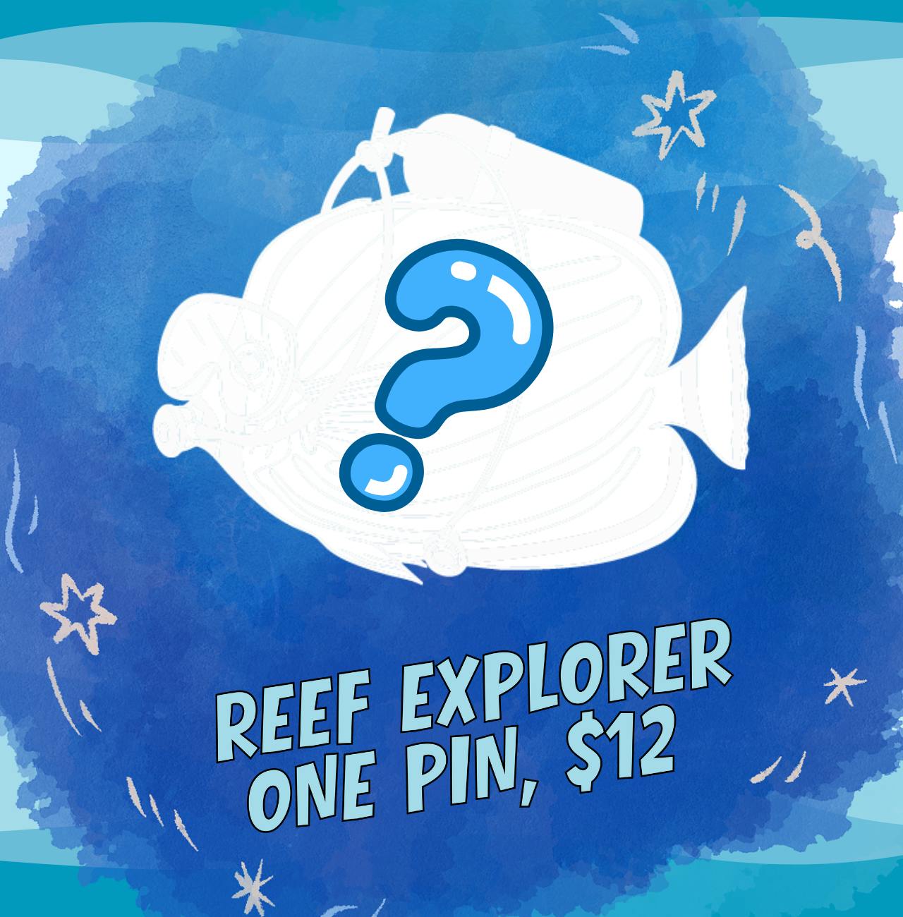 Reef Explorer
