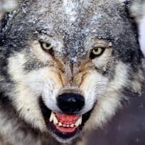 user avatar image for Moritz