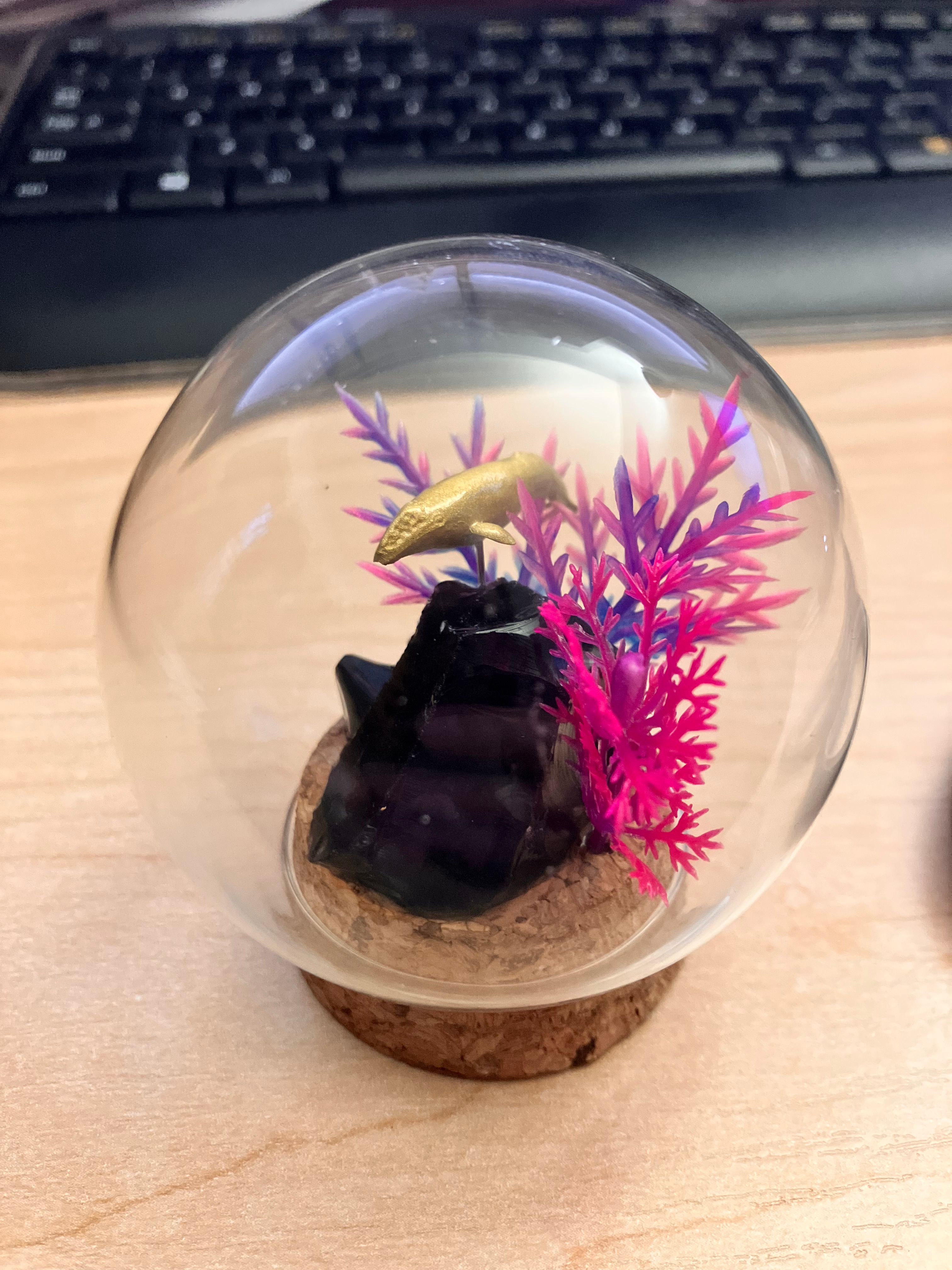 user avatar image for Ejoule