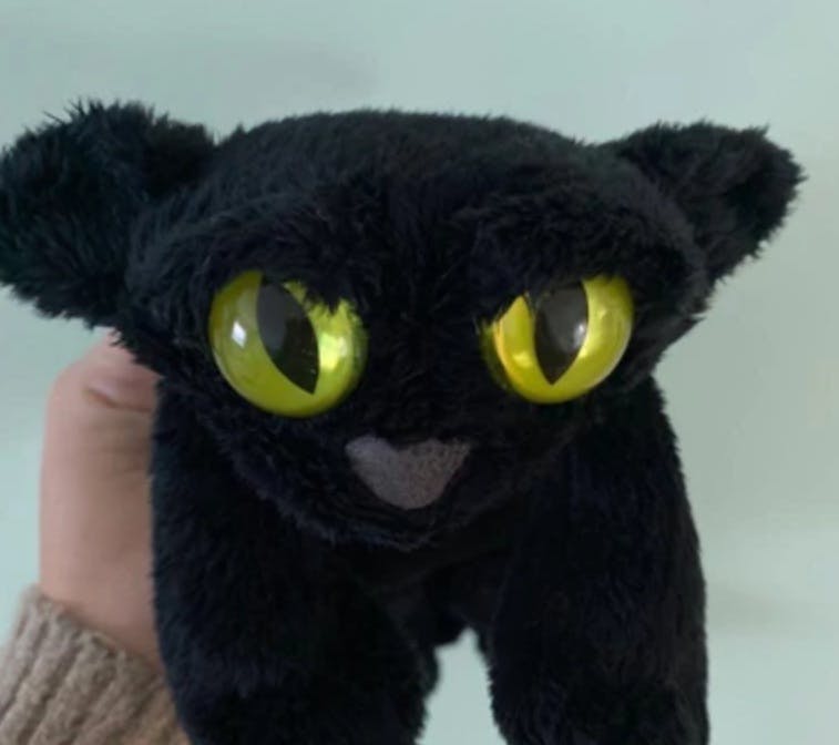 user avatar image for Rubyan