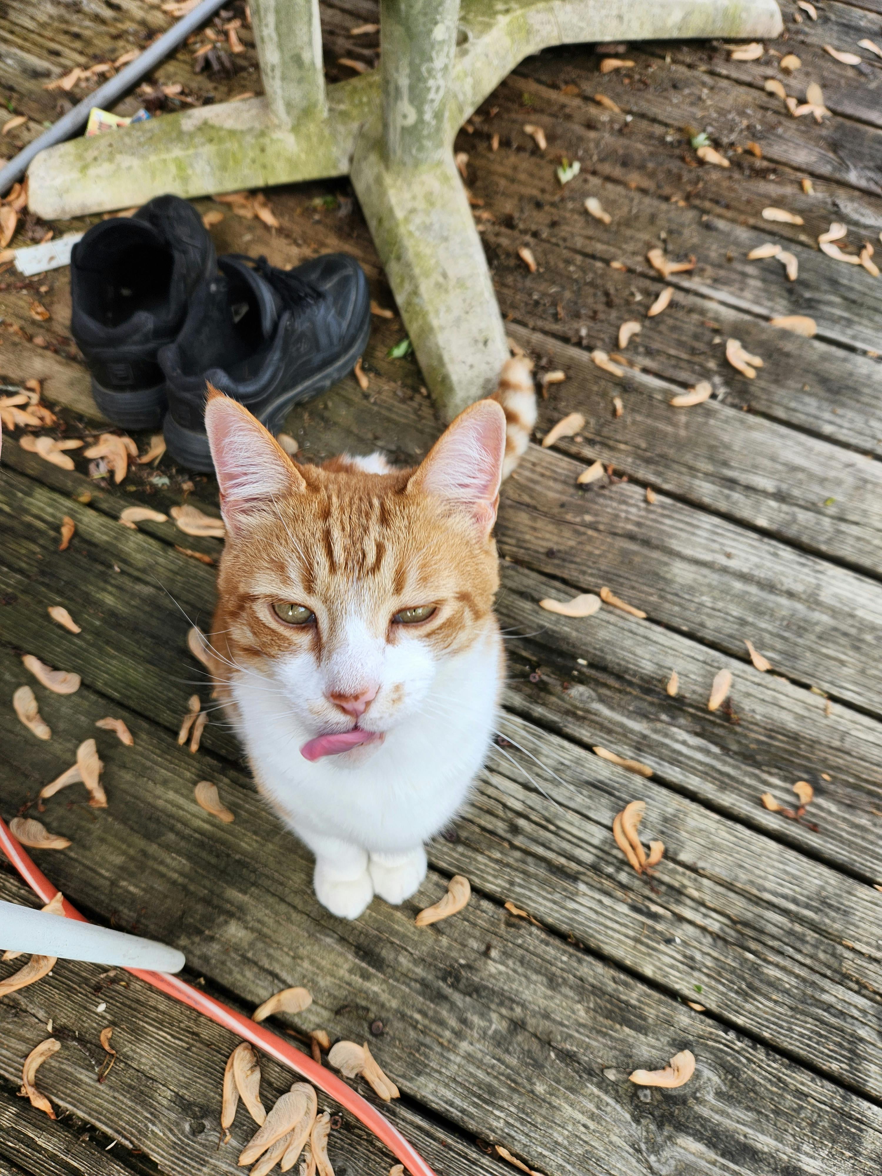 user avatar image for Atria