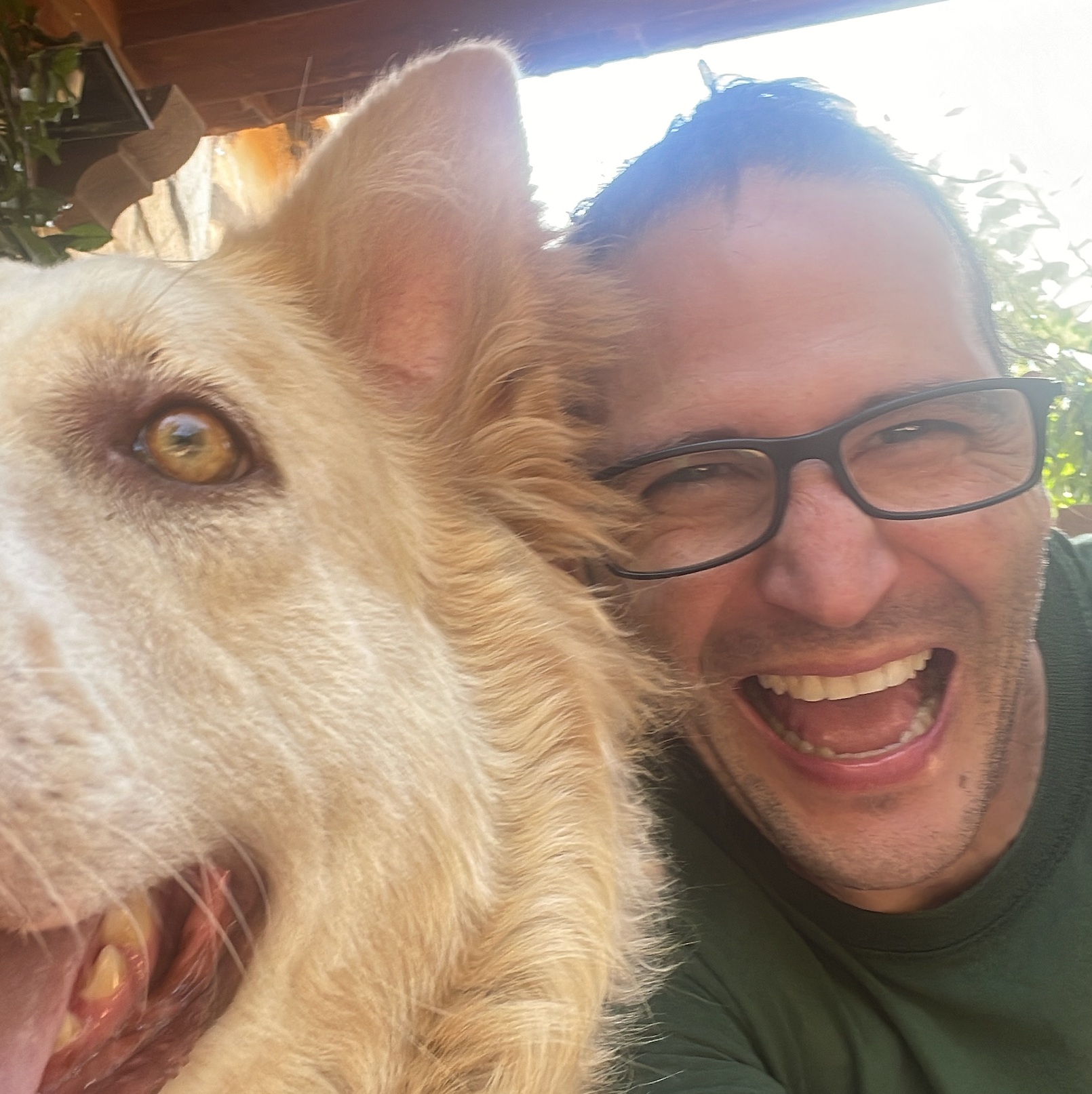 user avatar image for Fabio Attoli