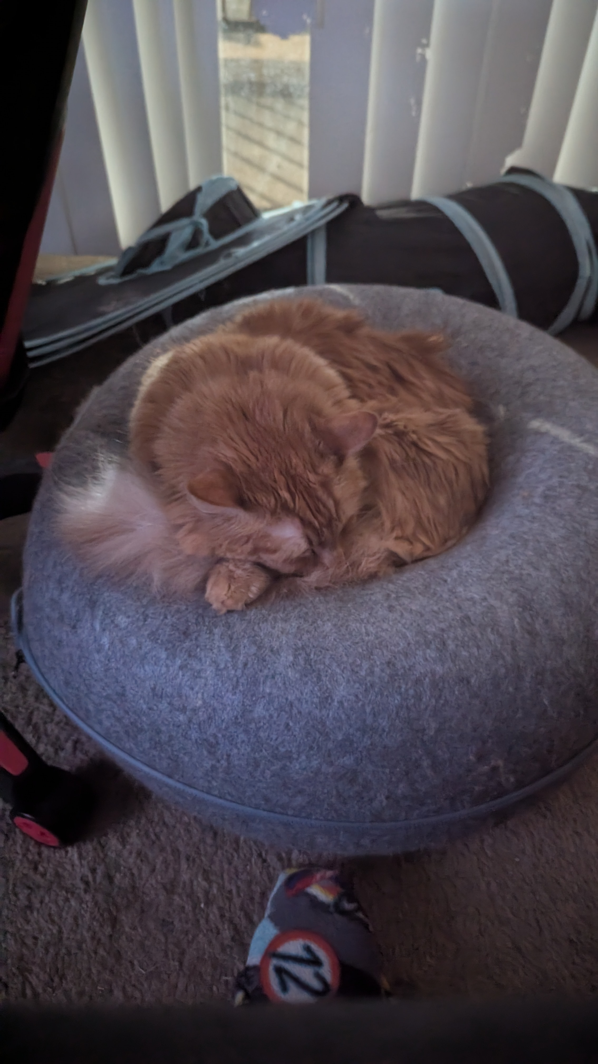 user avatar image for Seraphina