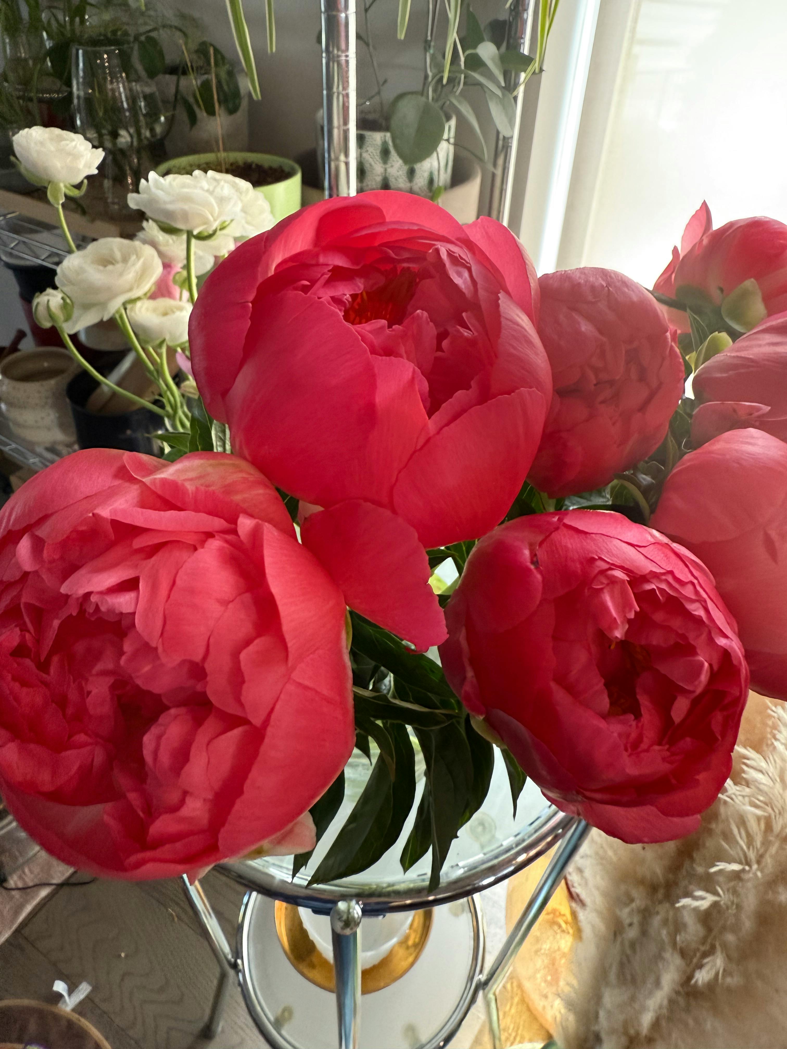 user avatar image for Amanda N.