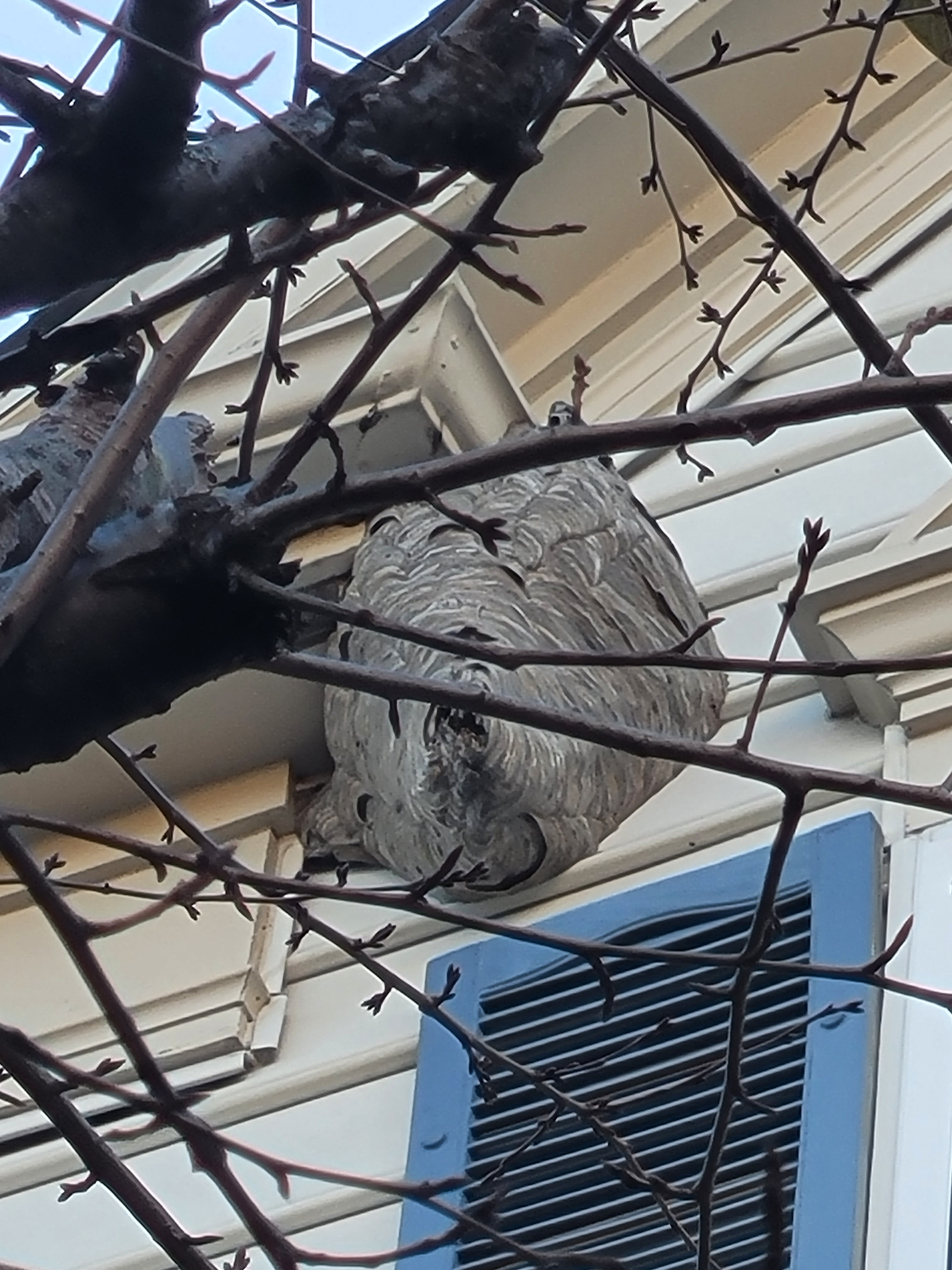 user avatar image for David Tai