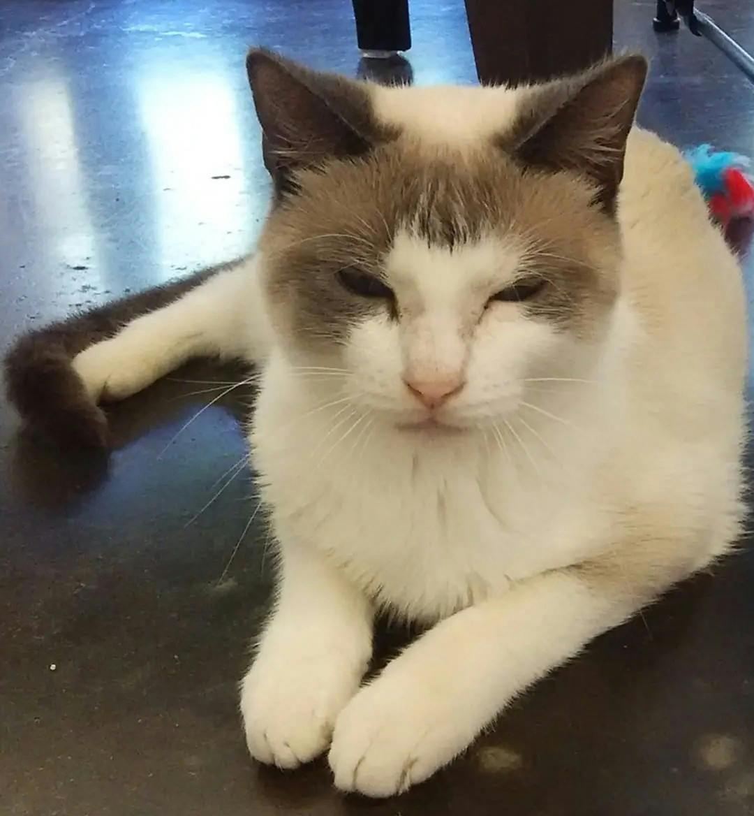 user avatar image for Dawnelle Edmonston