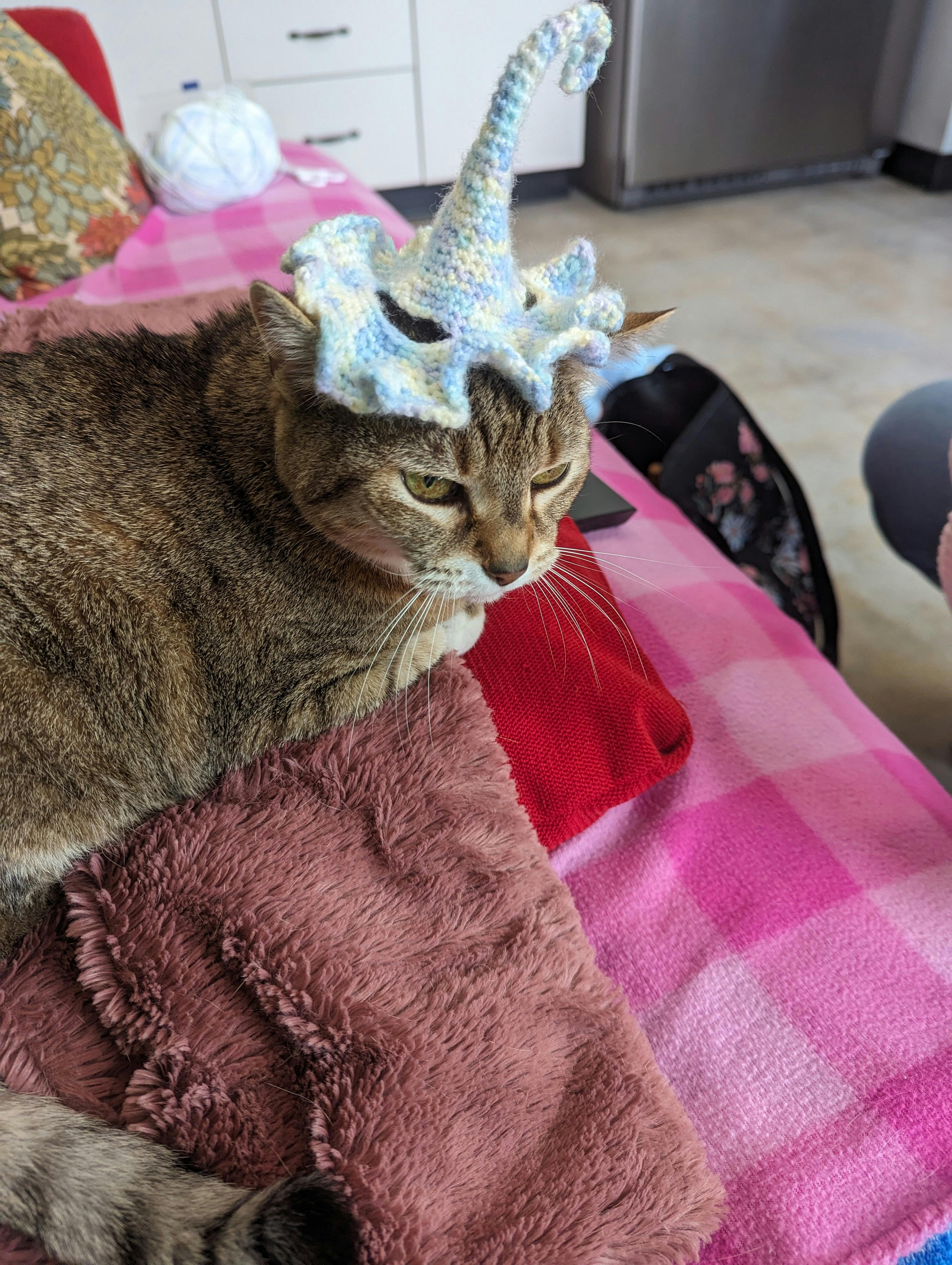 user avatar image for PopcornKat 