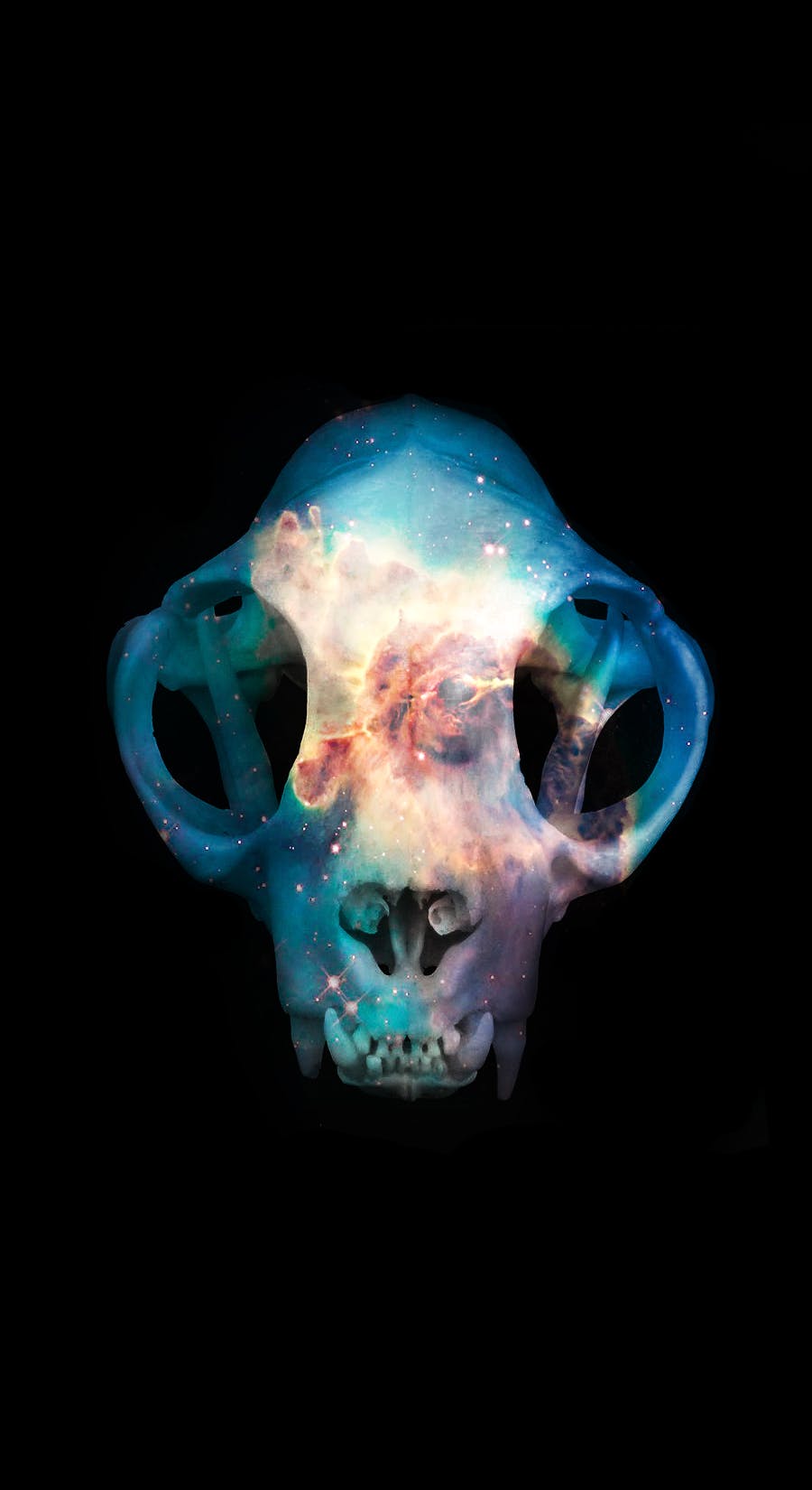user avatar image for LullabyofBones