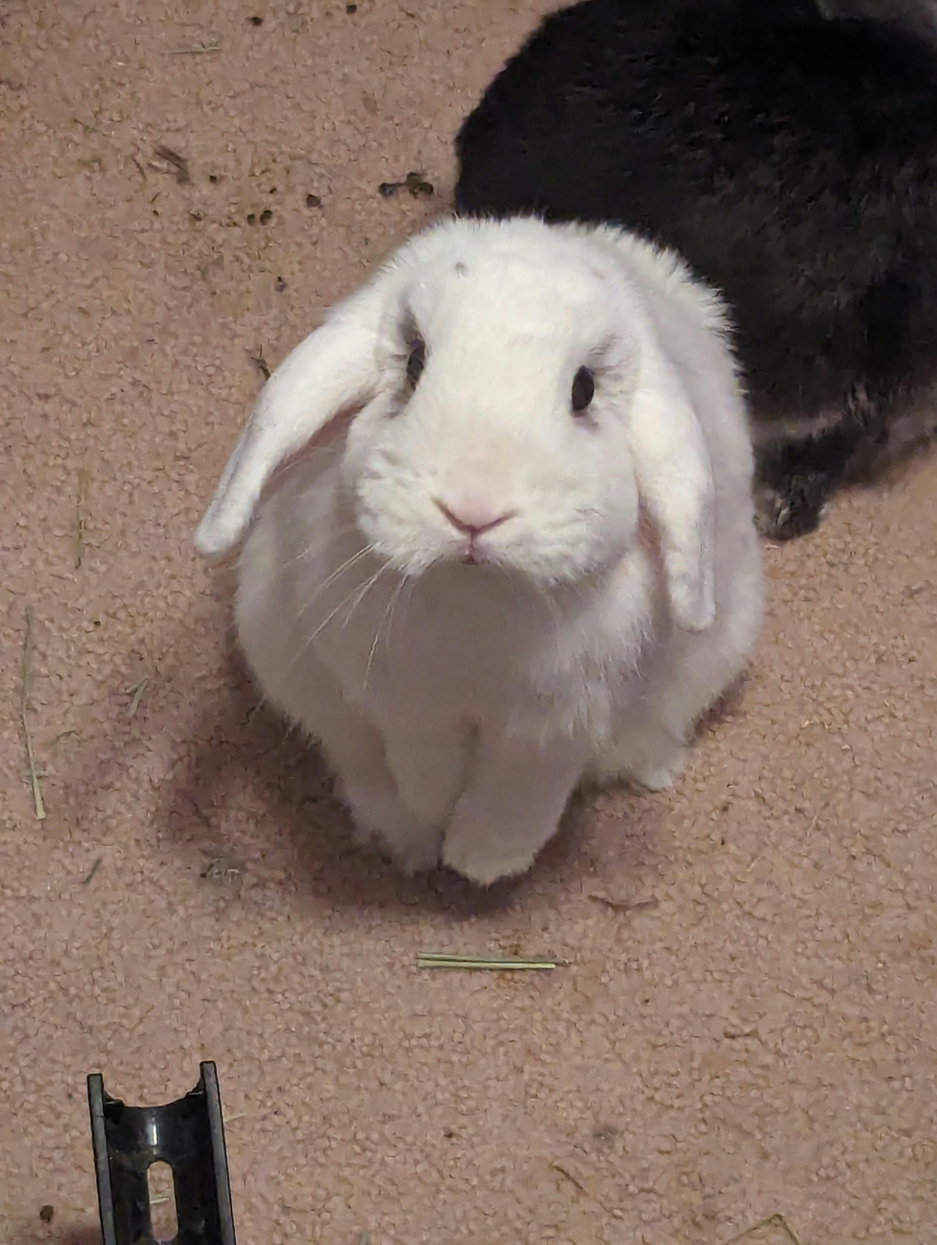 user avatar image for Nikita