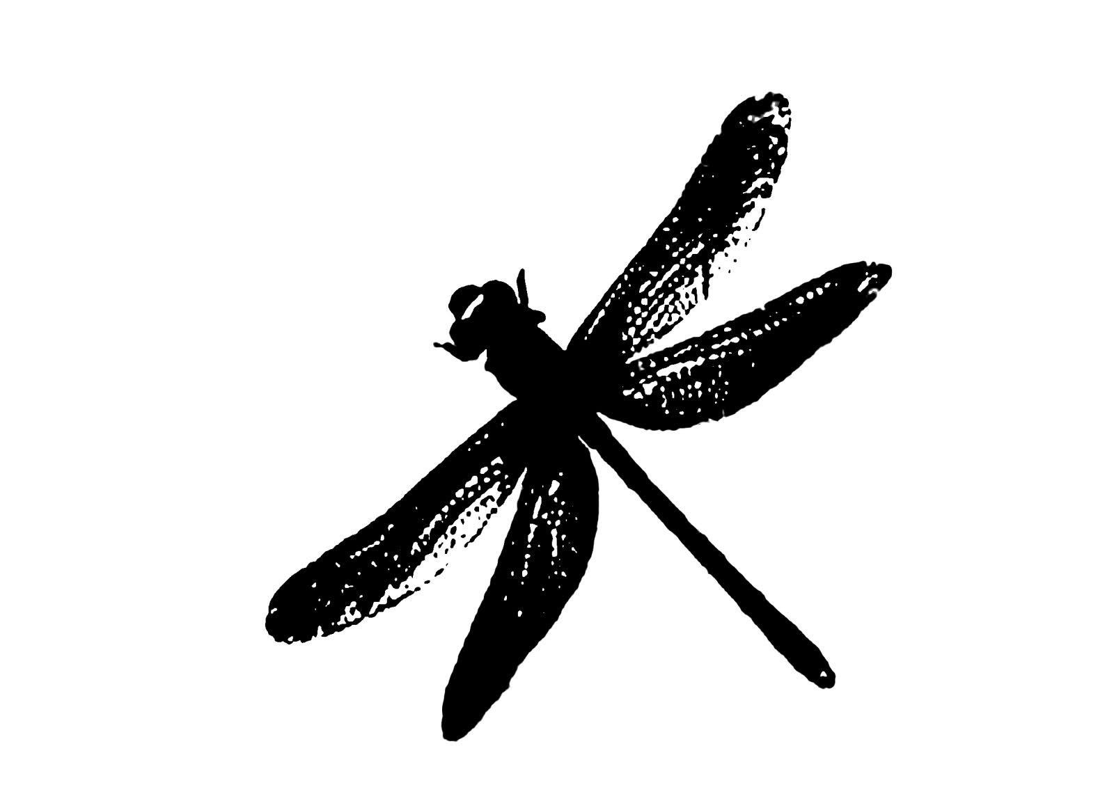 user avatar image for Nick