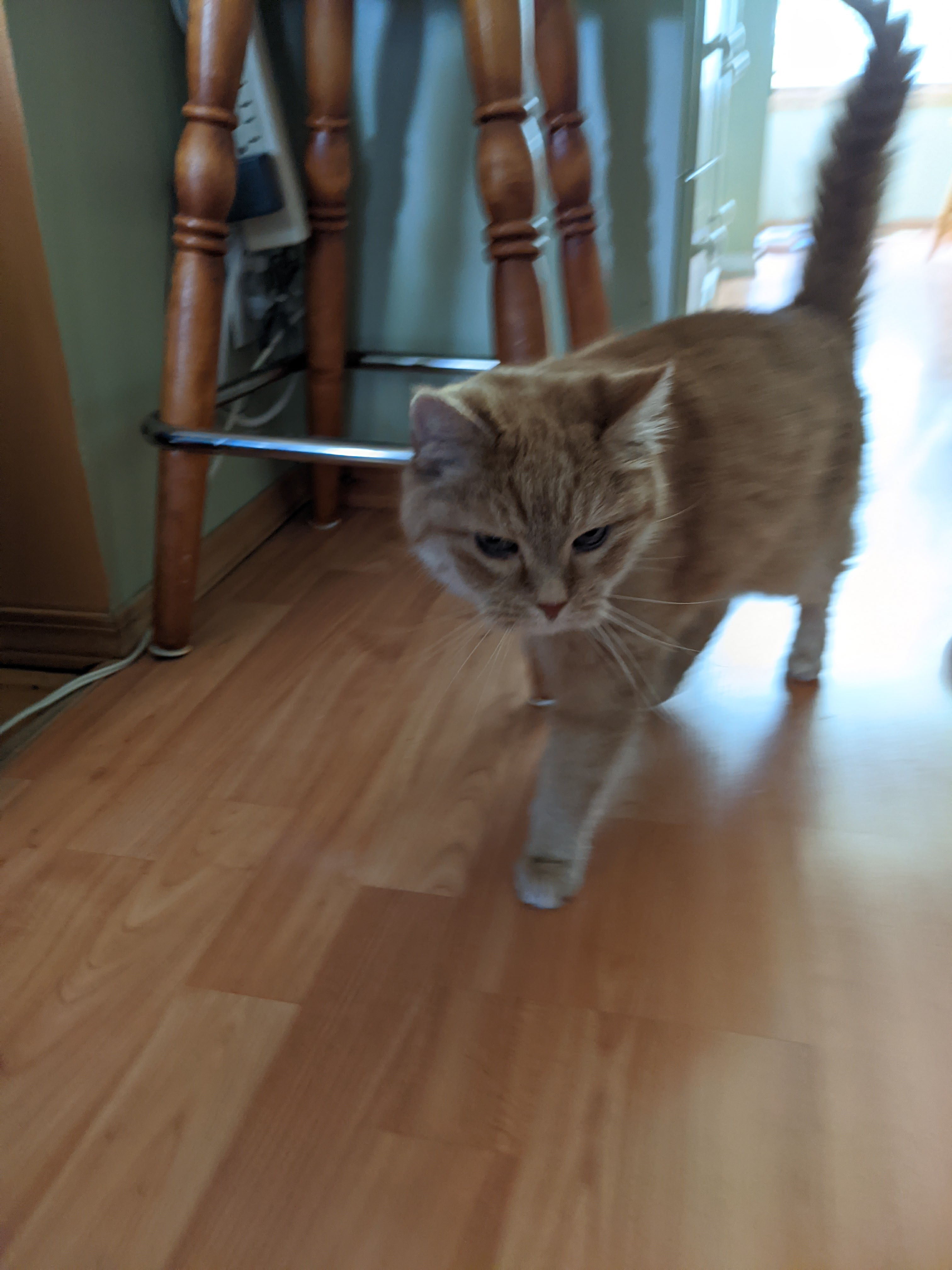 user avatar image for Stnoua