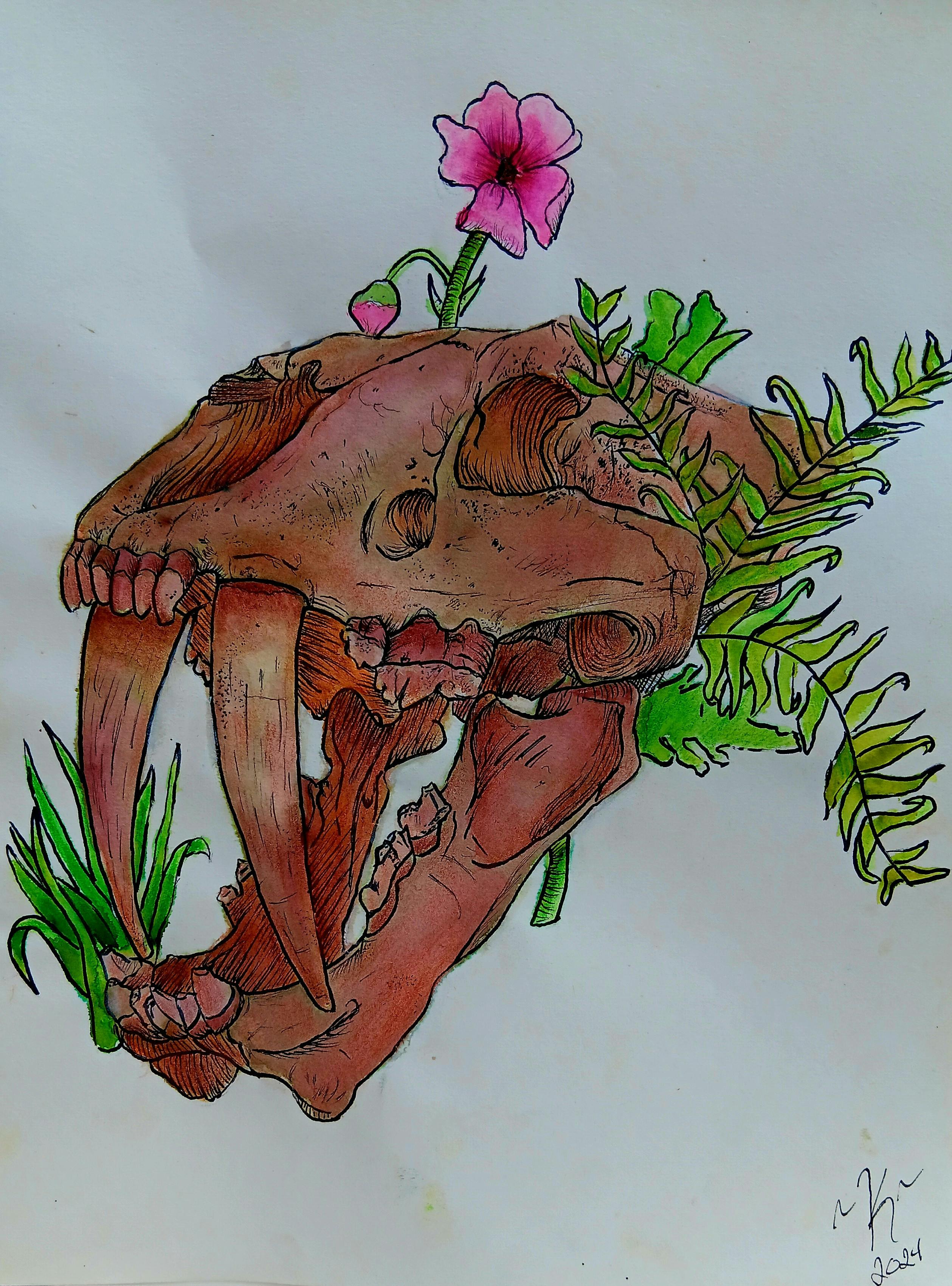 user avatar image for Chelsea Hodge