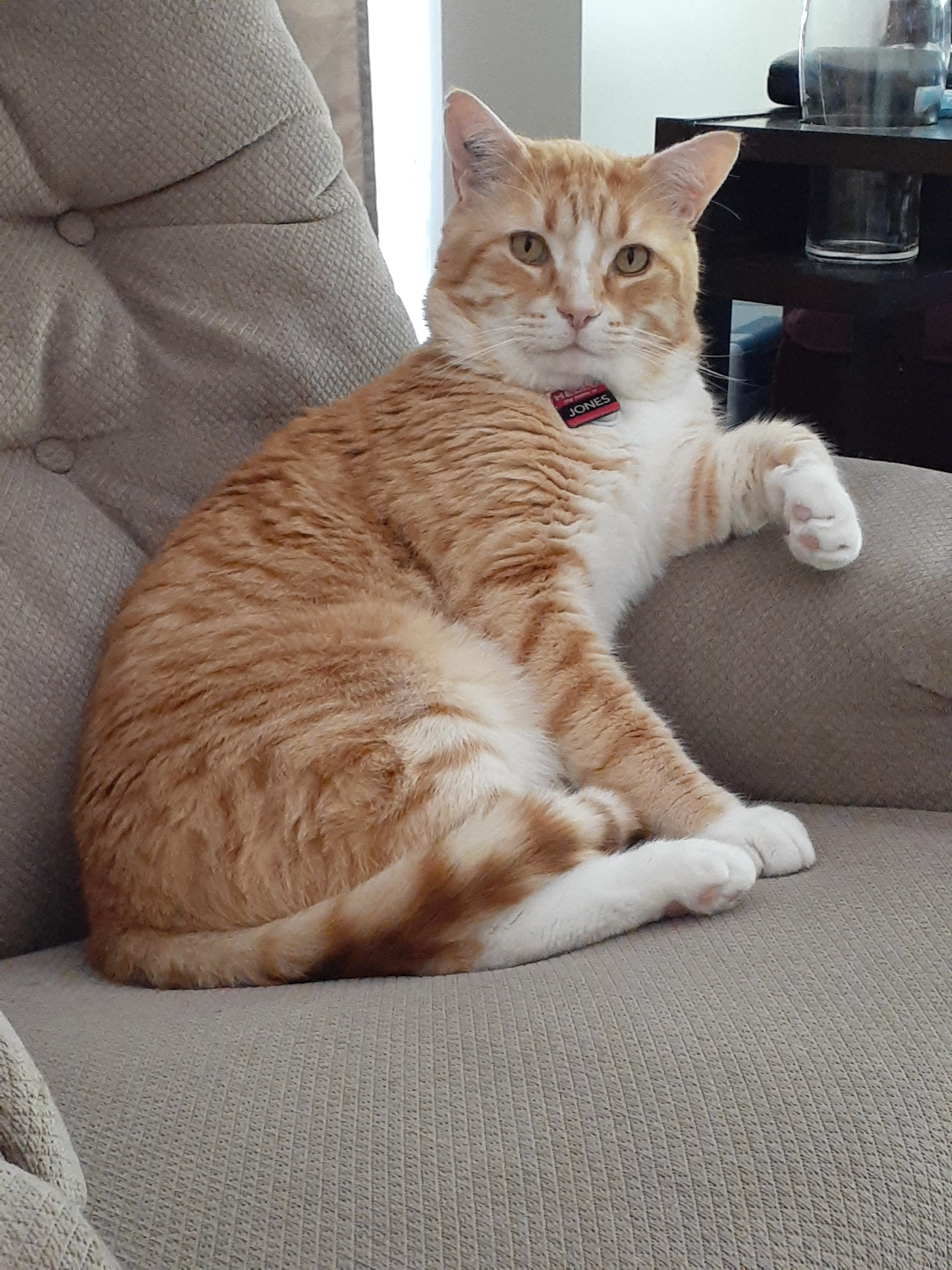 user avatar image for Paul Stanley