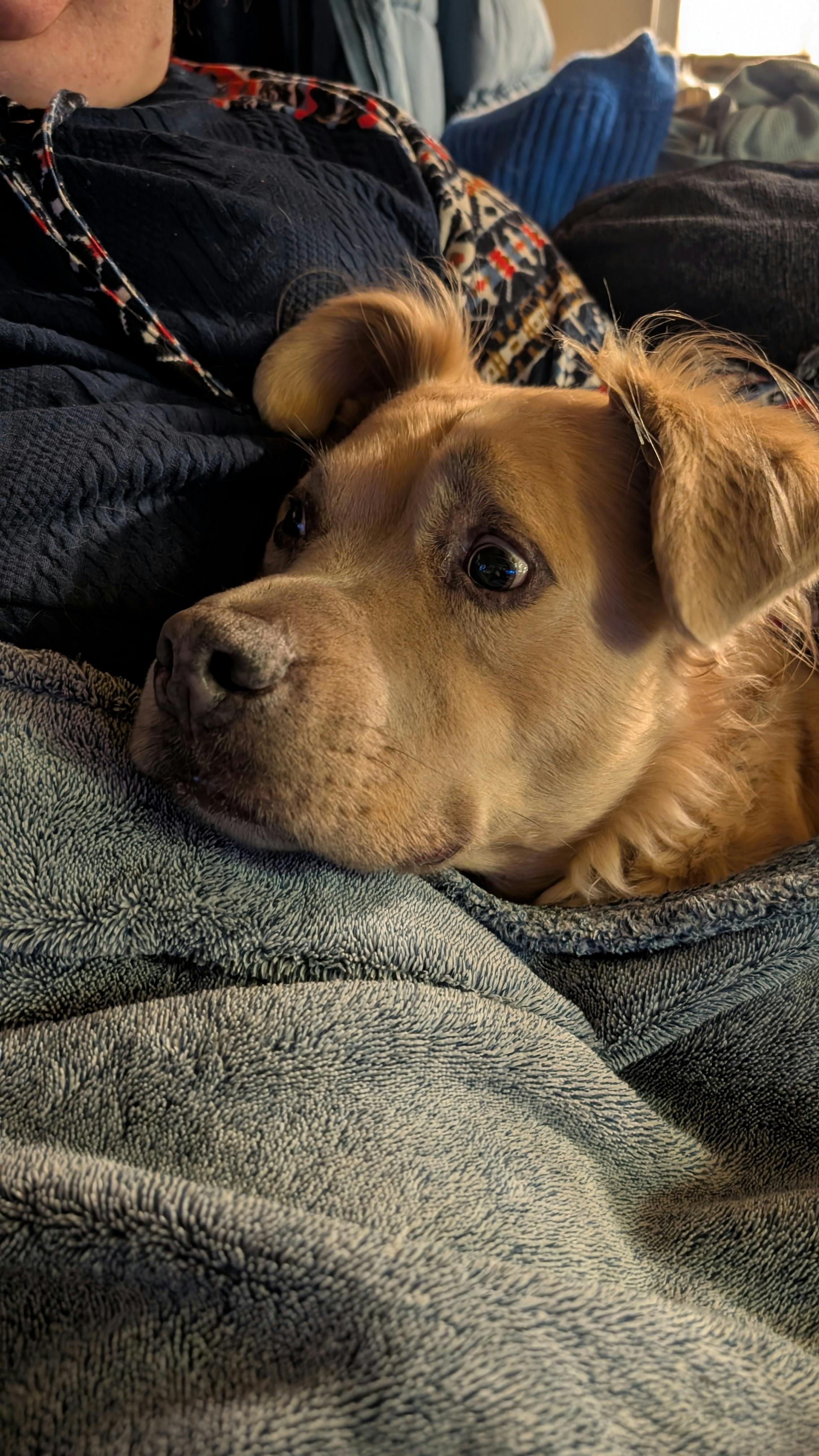 user avatar image for Jakobias