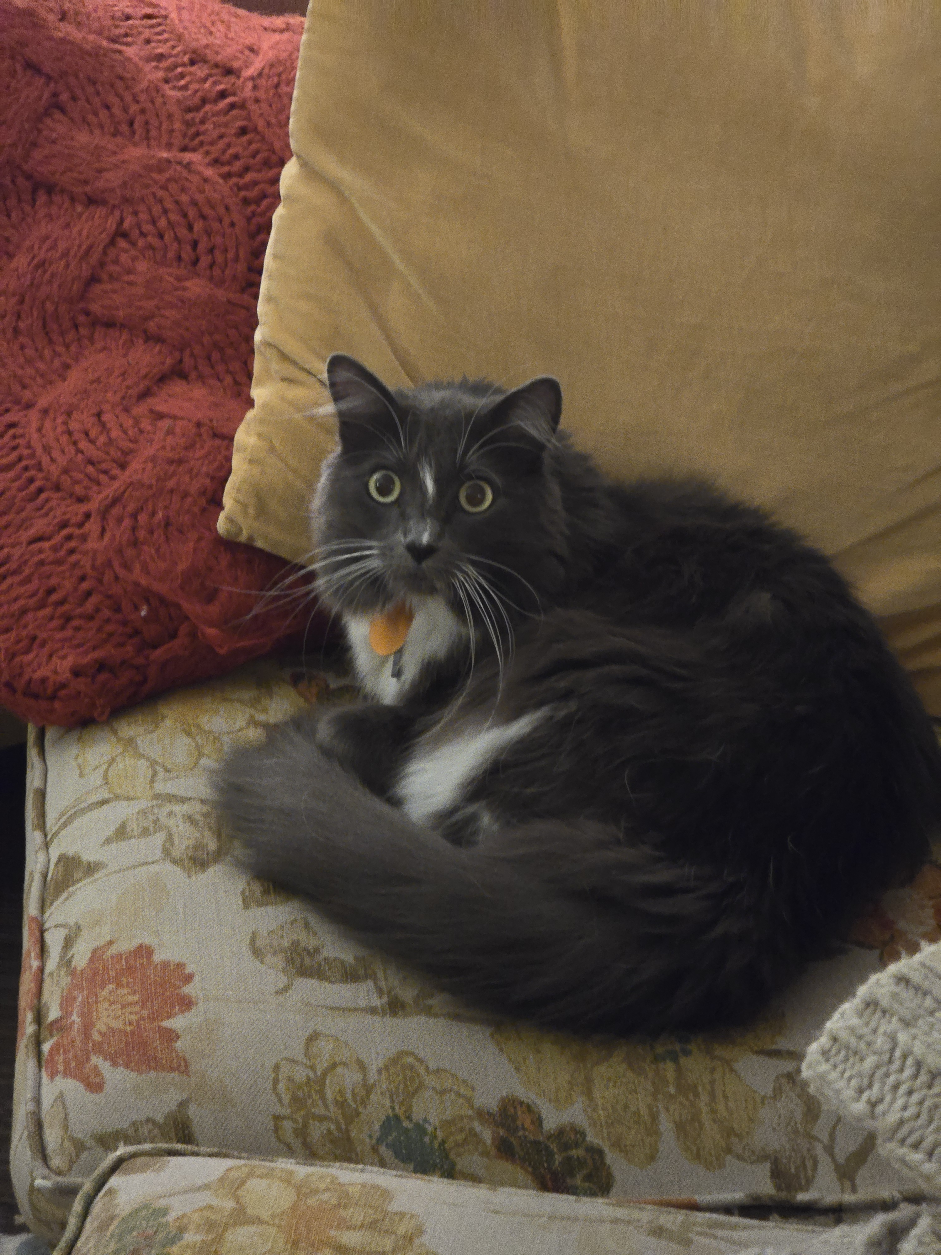 user avatar image for Rebekah