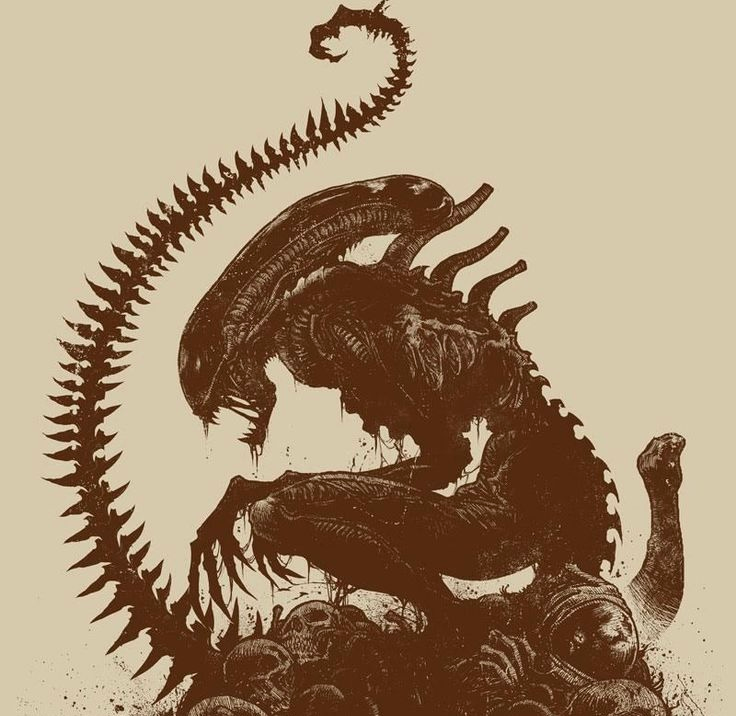 user avatar image for matthew nickel