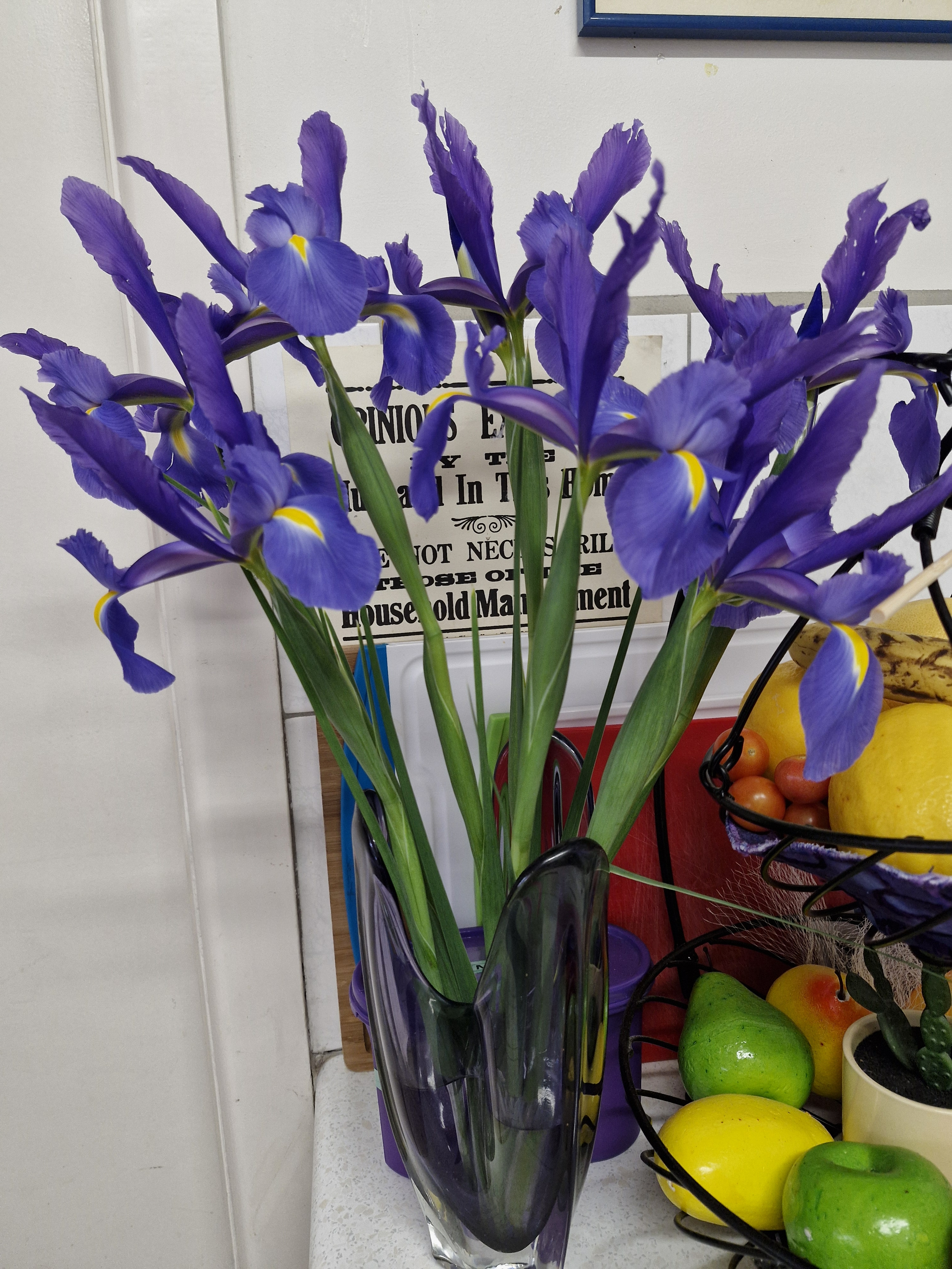 user avatar image for Jen in Oz