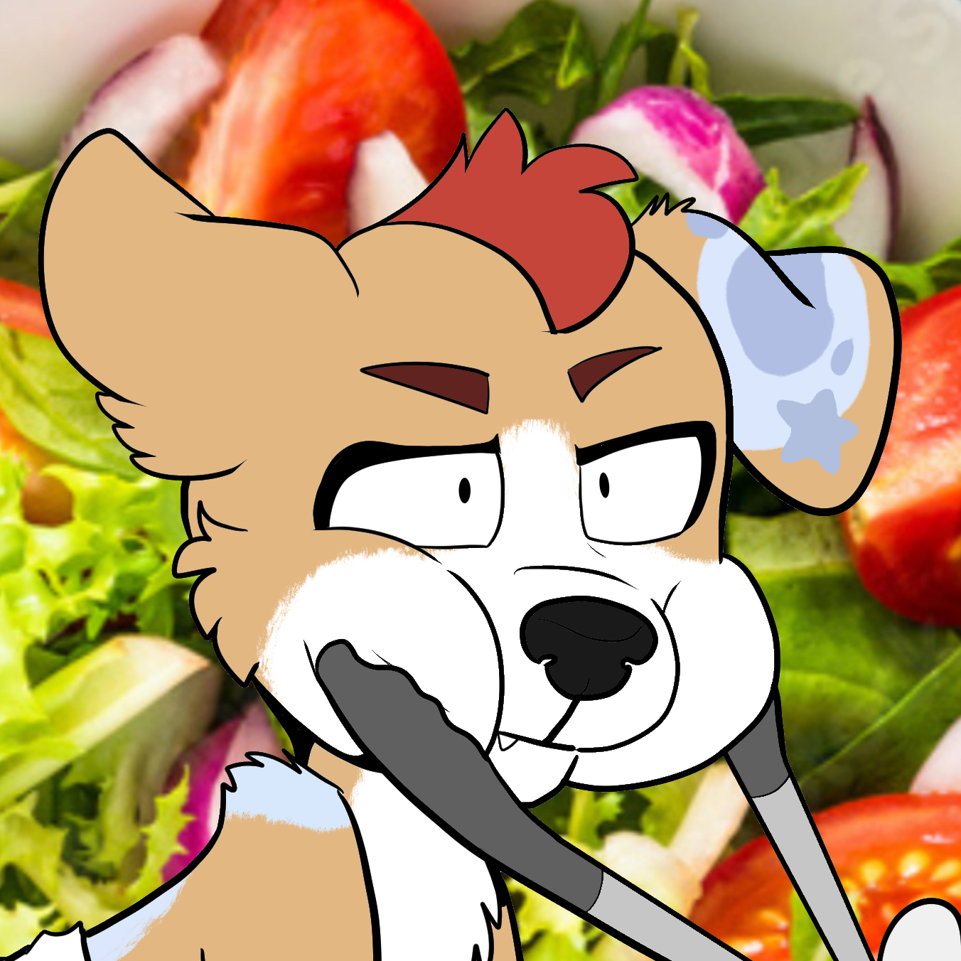 user avatar image for ciale