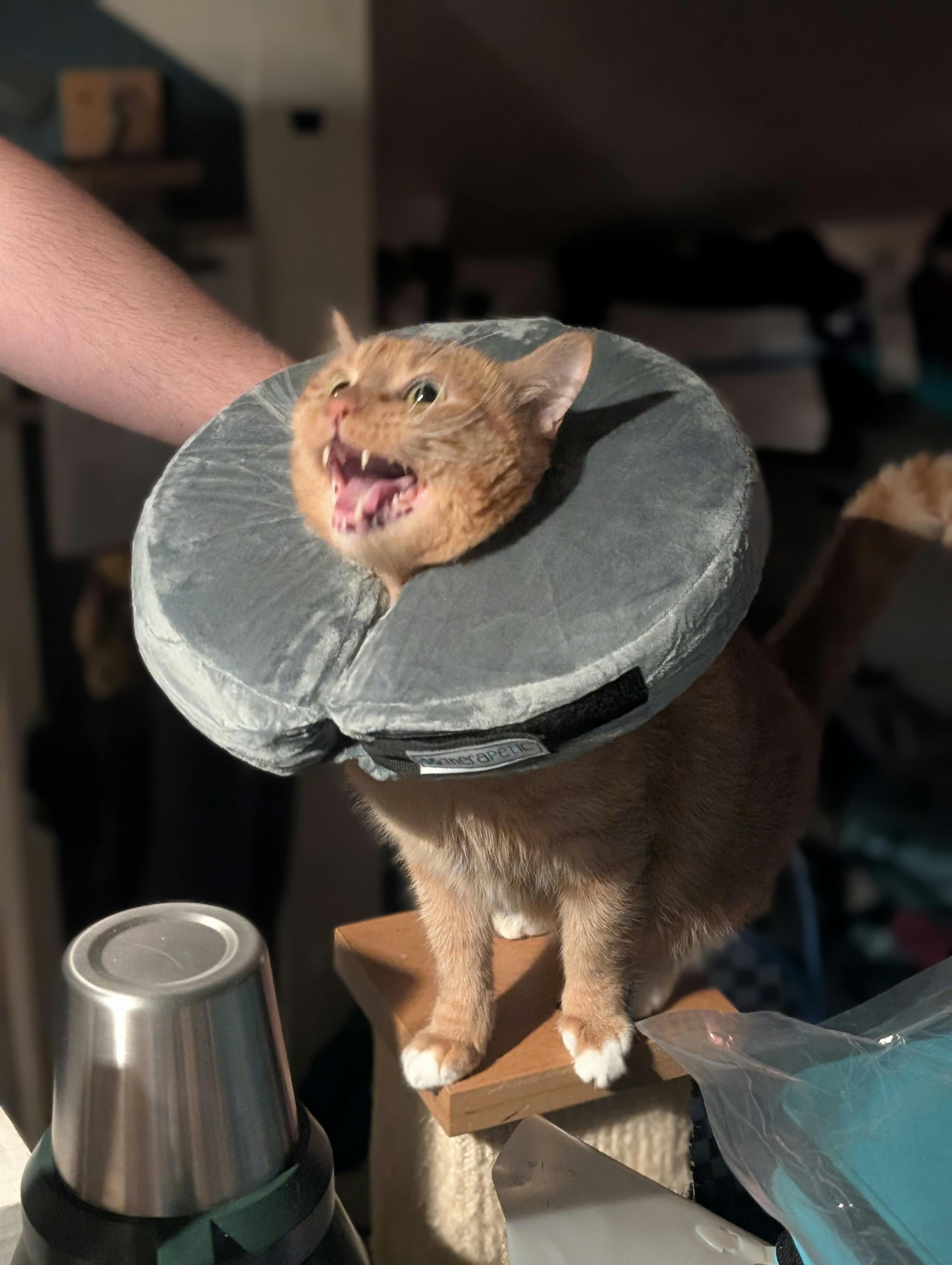 user avatar image for beanboy432